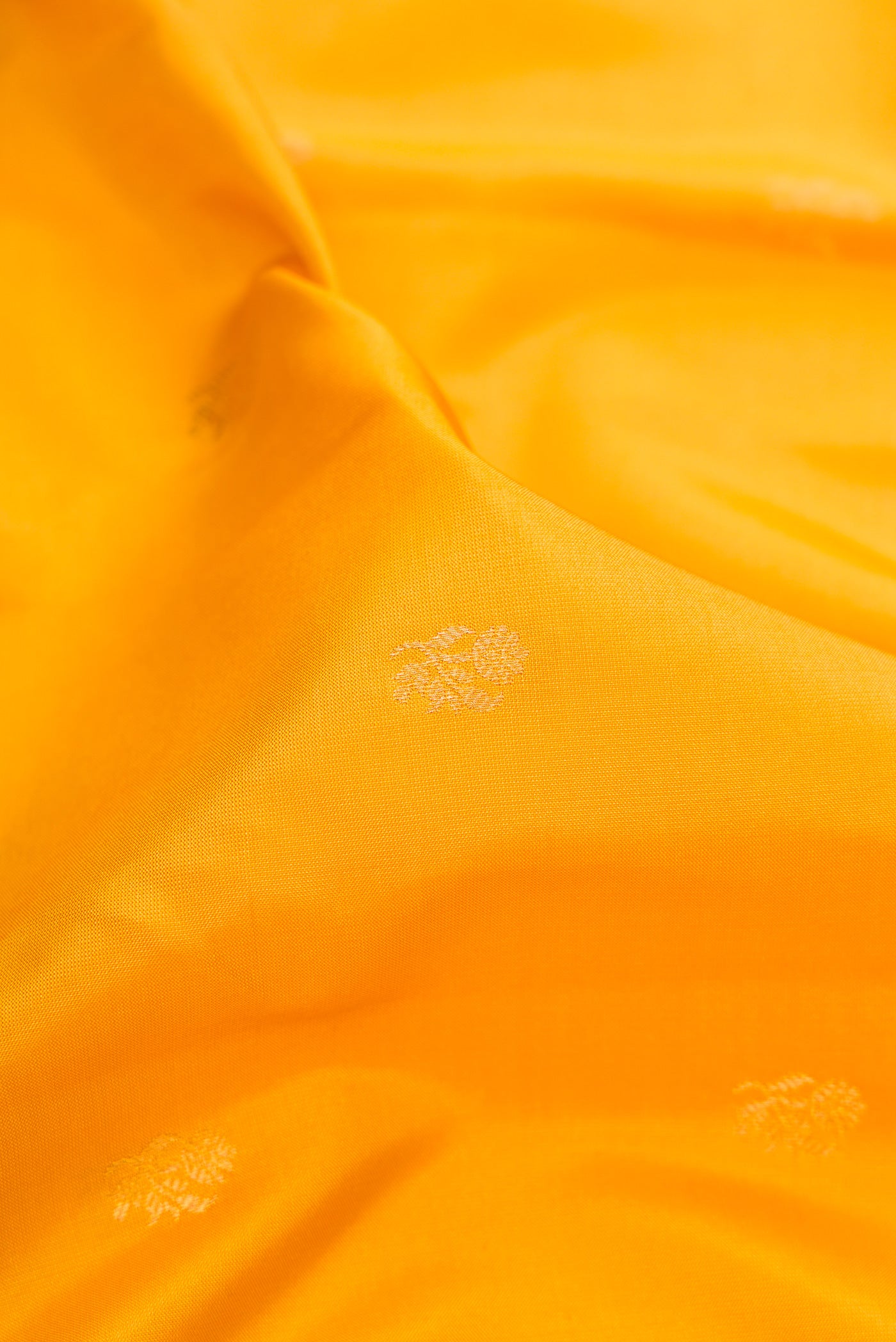 Close up of Mustard Gadwal Silk Saree with Zari Butta on the body and Zari Border.  displaying folds