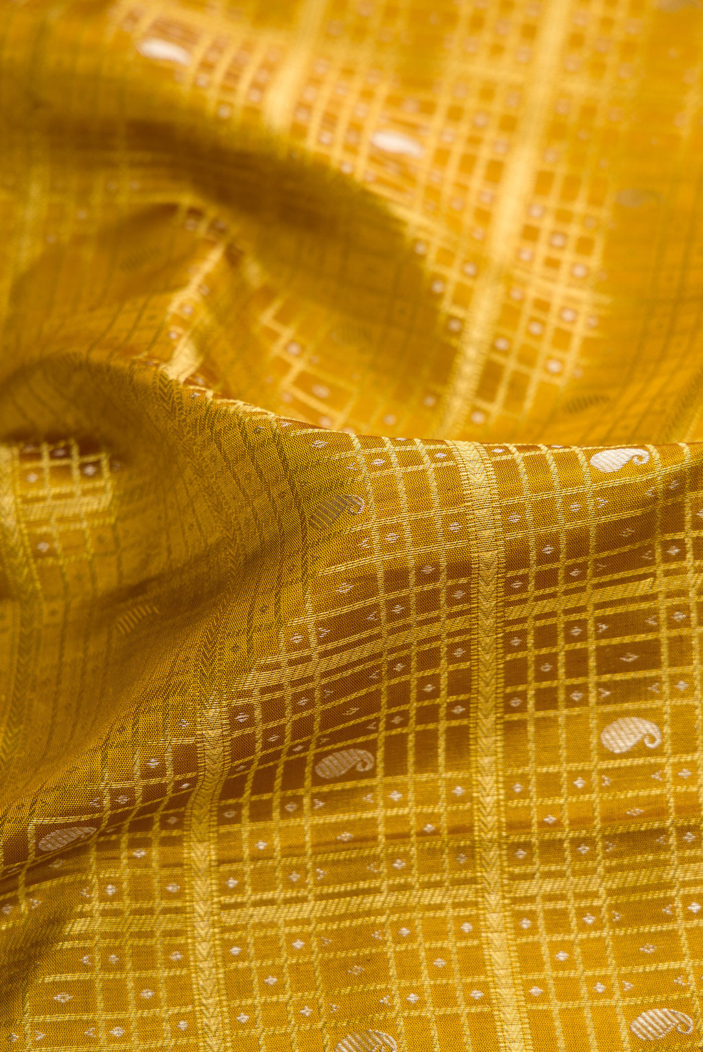 Close up of Gold Dual Tone Kanchipuram Silk Saree with Zari Brocade on the body and Zari Border.  displaying folds