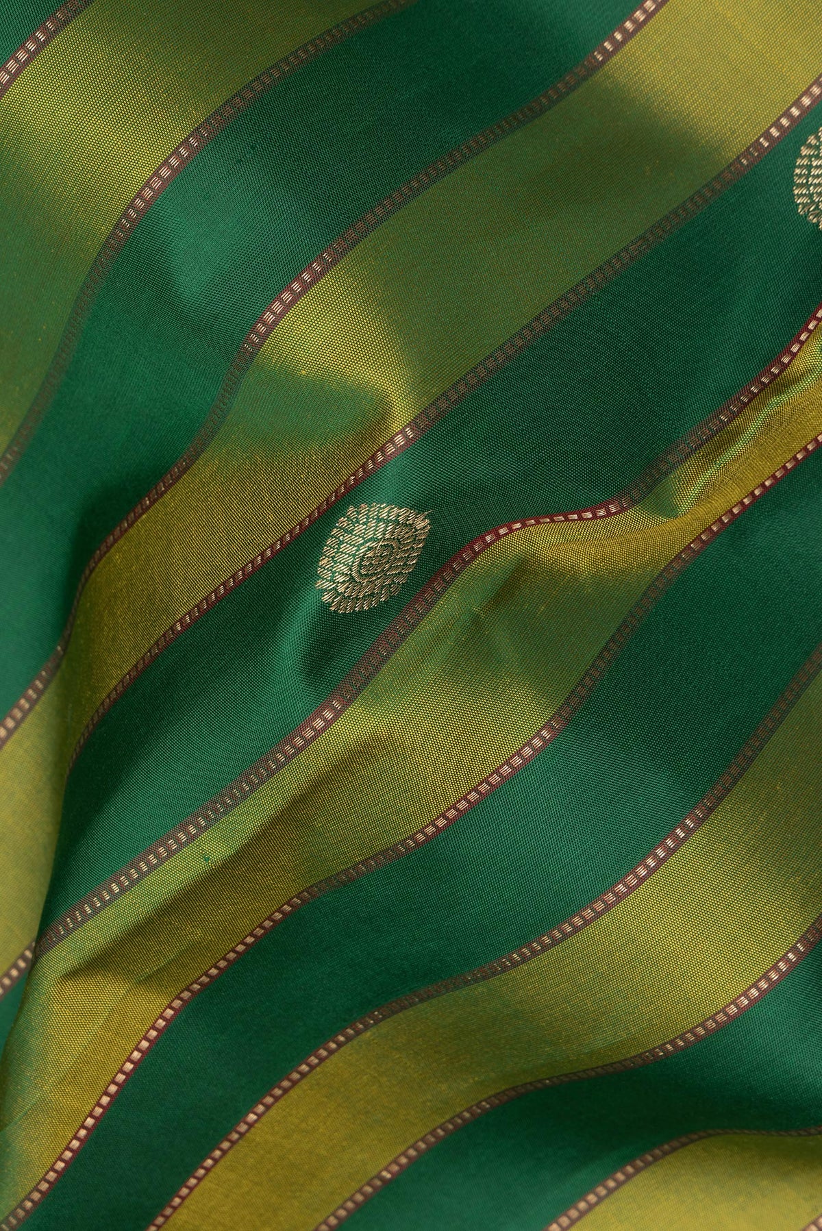 Close up of Pure Silk Green Dual Tone Kanjivaram Saree with Stripes on the body and Zari Border.  displaying folds