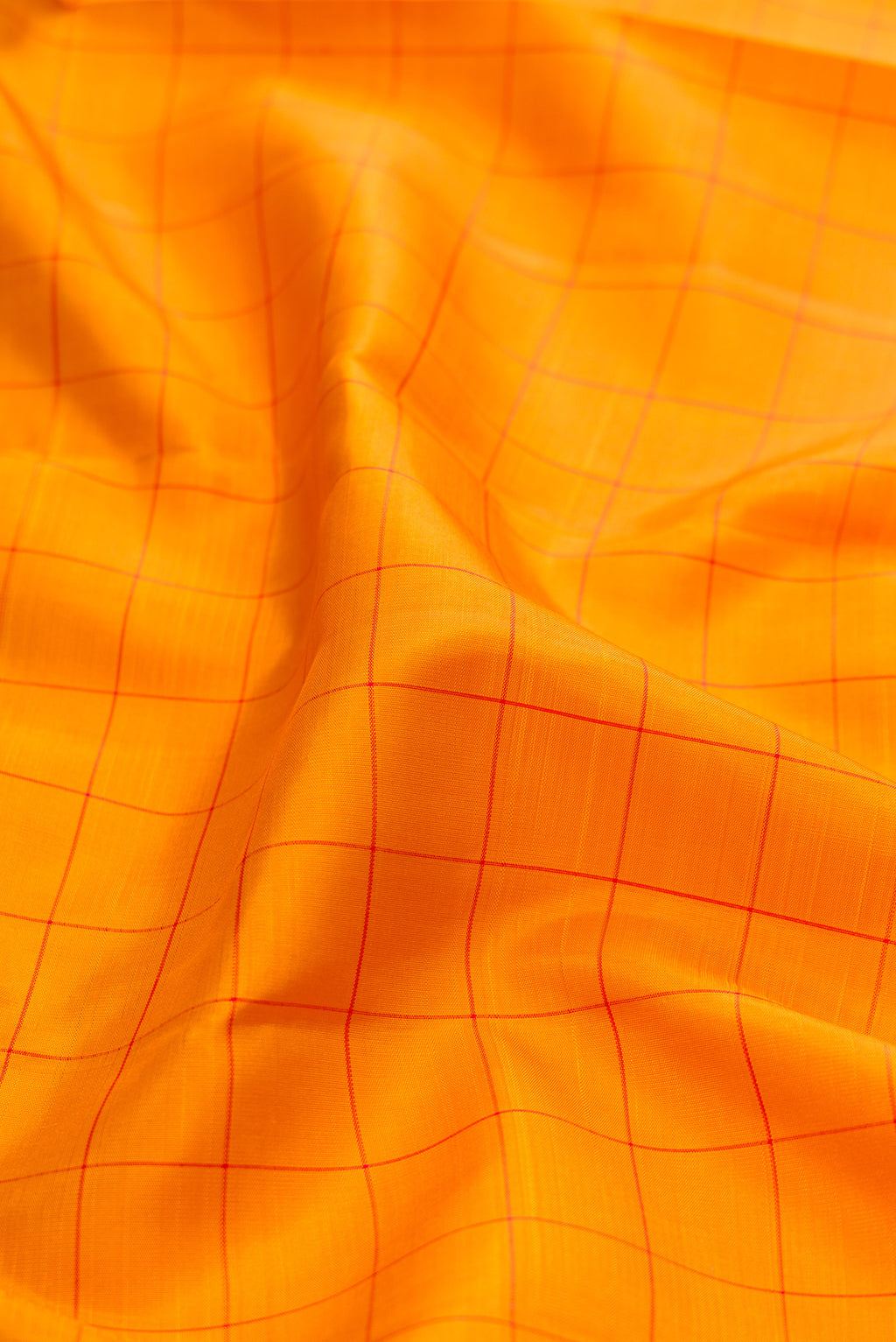 Close up of Mustard Kanjivaram Silk Saree with Checked design on the body and Zari Border.  displaying folds
