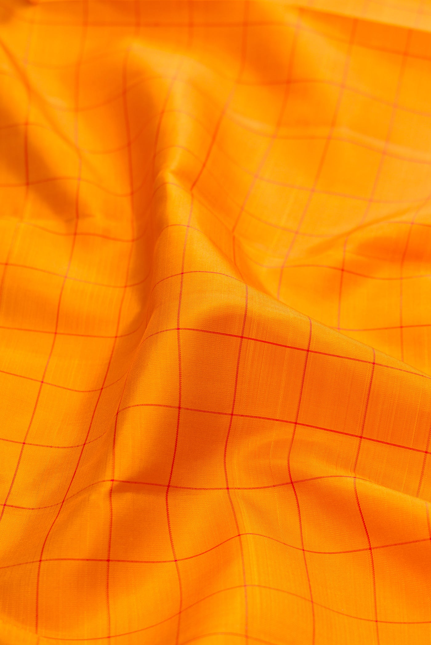 Close up of Mustard Kanjivaram Silk Saree with Checked design on the body and Zari Border.  displaying folds
