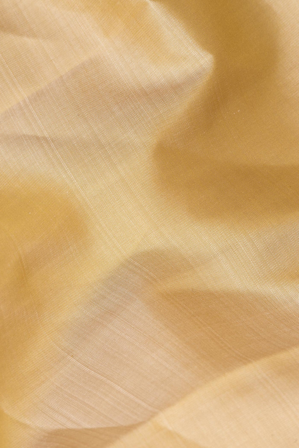 Close up of Pure Silk Beige Dual Tone Kanchipuram Saree with Plain Body and Checks Border.  displaying folds