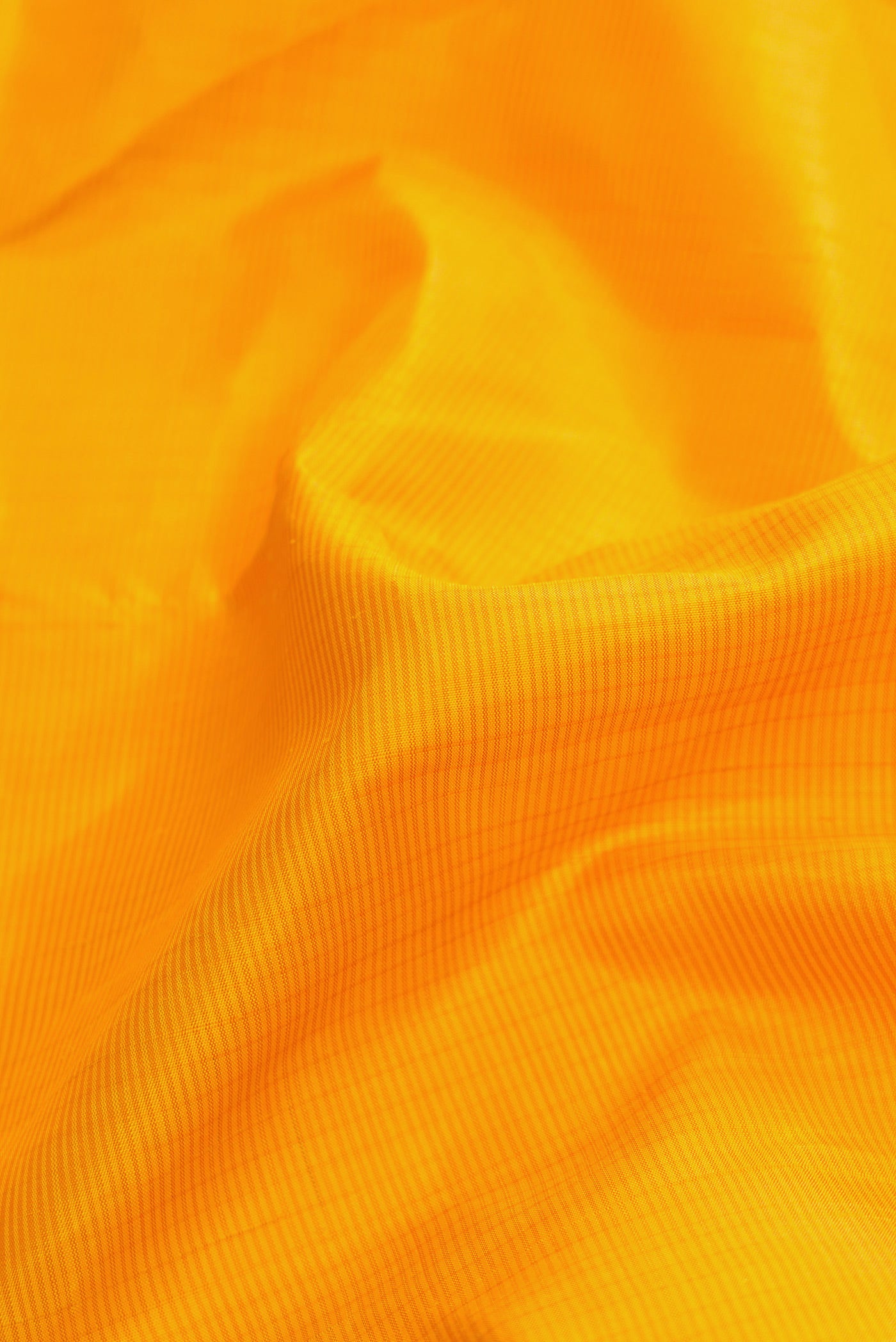 Close up of Mustard Dual Tone Kanjivaram Silk Saree with Stripes on the body and Zari Border.  displaying folds