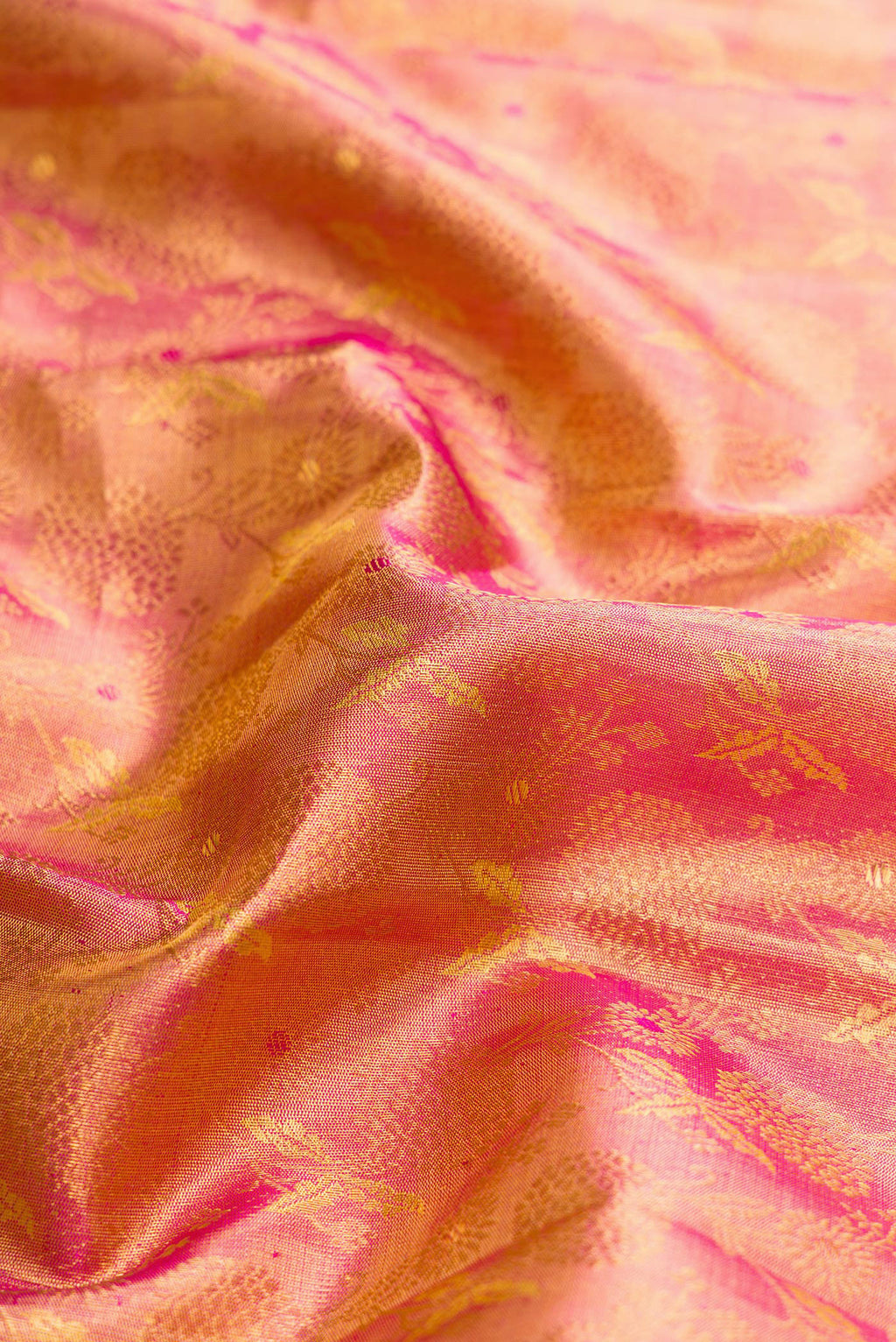 Close up of Rose Gold Dual Tone Kanchipuram Tissue Silk Saree with Zari Brocade on the body and Zari Border.  displaying folds
