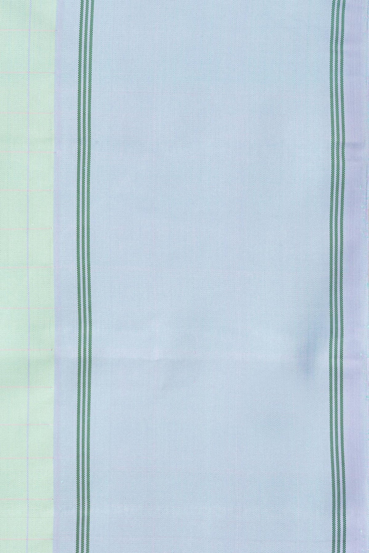 Border image of Pure Silk Pista Green Dual Tone Kanjivaram Saree with Checked design on the body and Plain Border. 