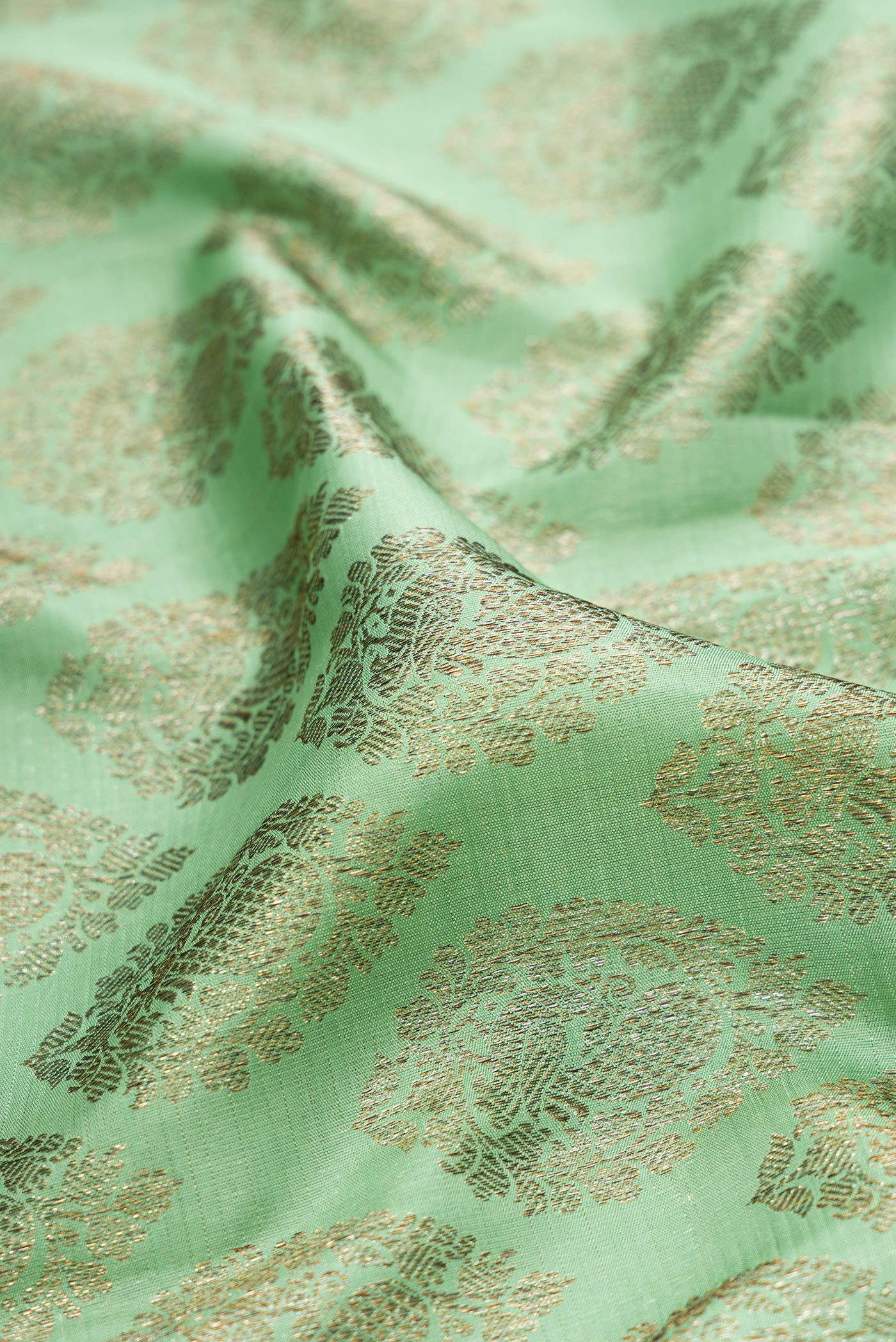 Close up of Light Green Kanchipuram Silk Saree with Zari Brocade on the body and Zari Border.  displaying folds