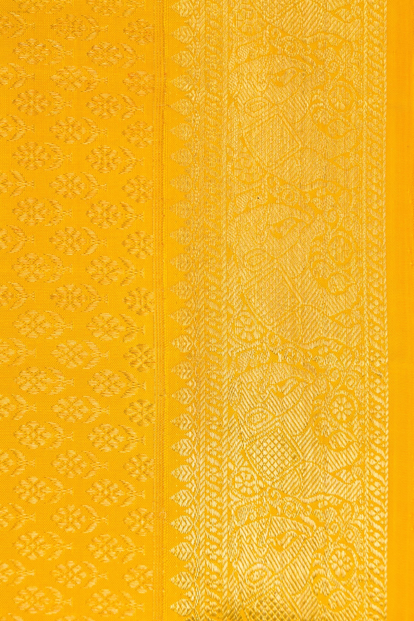 Border image of Yellow Dual Tone Kanchipuram Silk Saree with Zari Brocade on the body and Zari Border. 