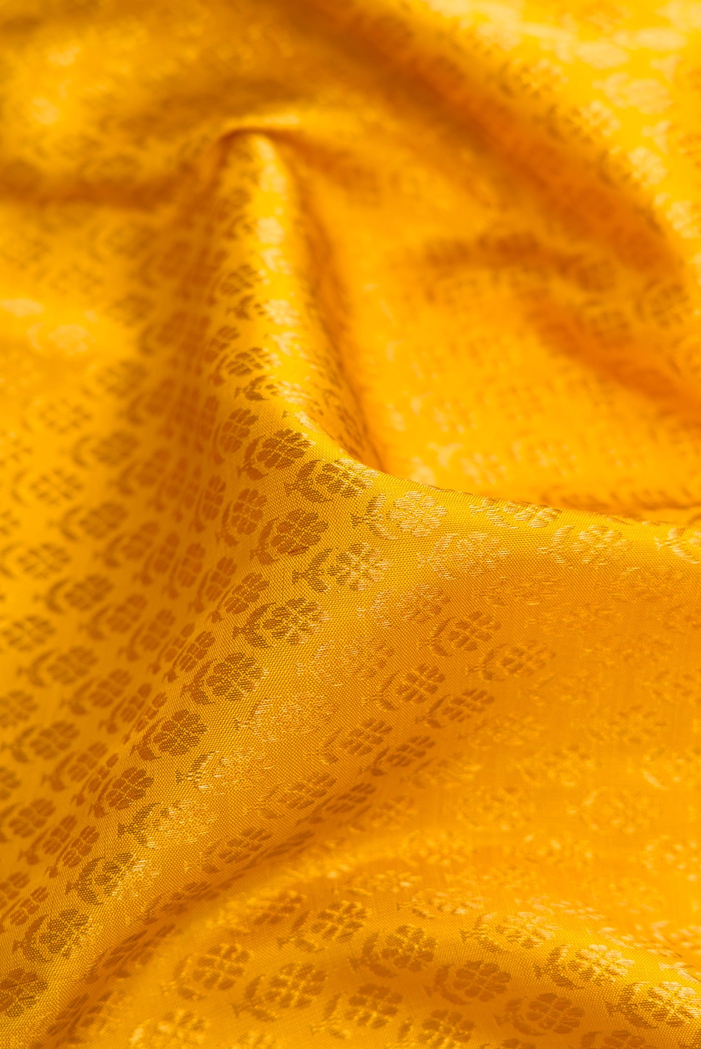 Close up of Yellow Dual Tone Kanchipuram Silk Saree with Zari Brocade on the body and Zari Border.  displaying folds
