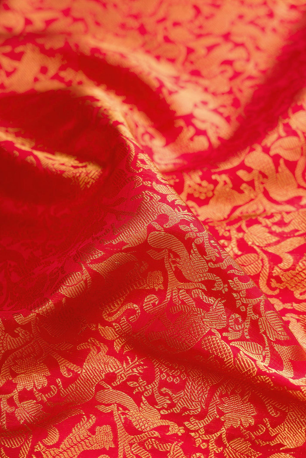 Close up of Red Kanchipuram Silk Saree with Zari Brocade on the body and Zari Border.  displaying folds