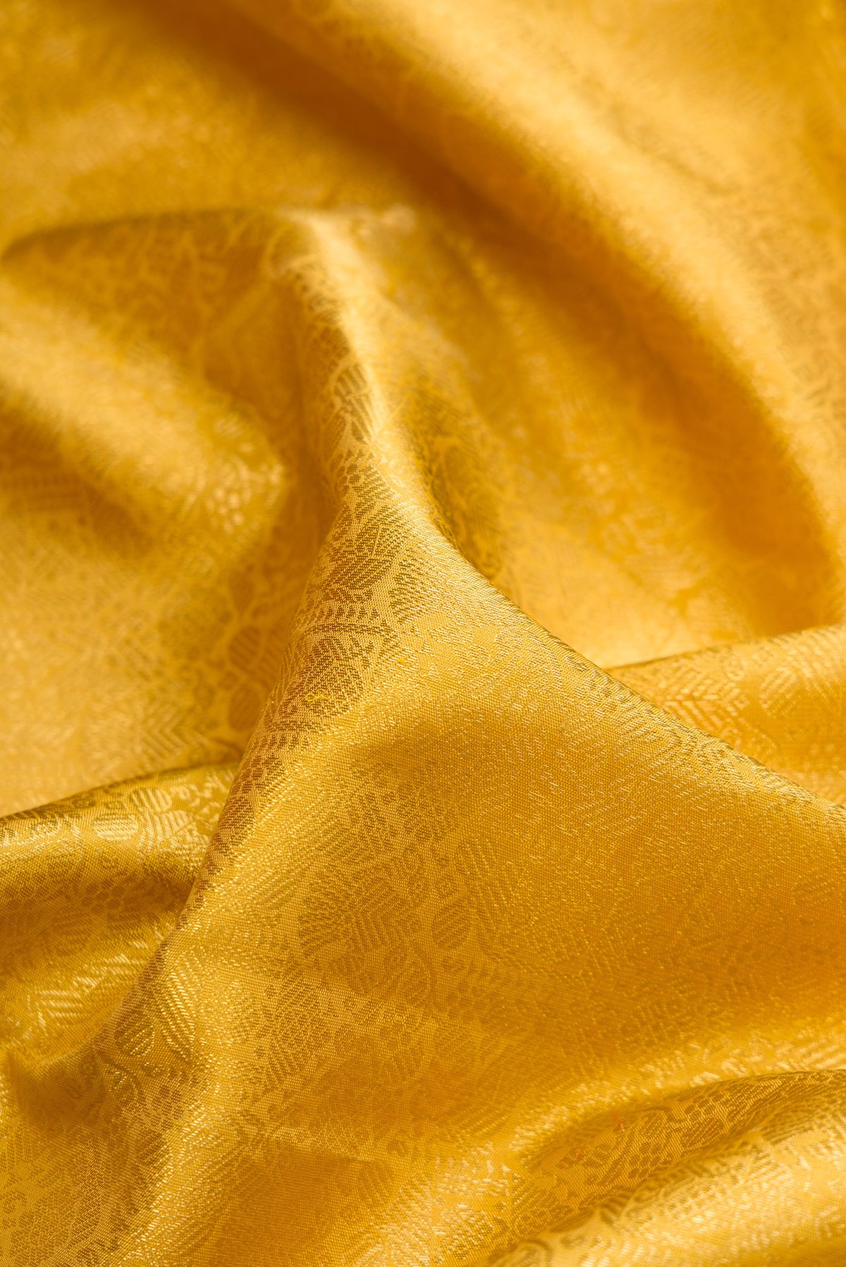 Close up of Pure Silk Pure Zari Mustard Dual Tone Kanjivaram Saree with Zari Brocade on the body and Zari Border.  displaying folds