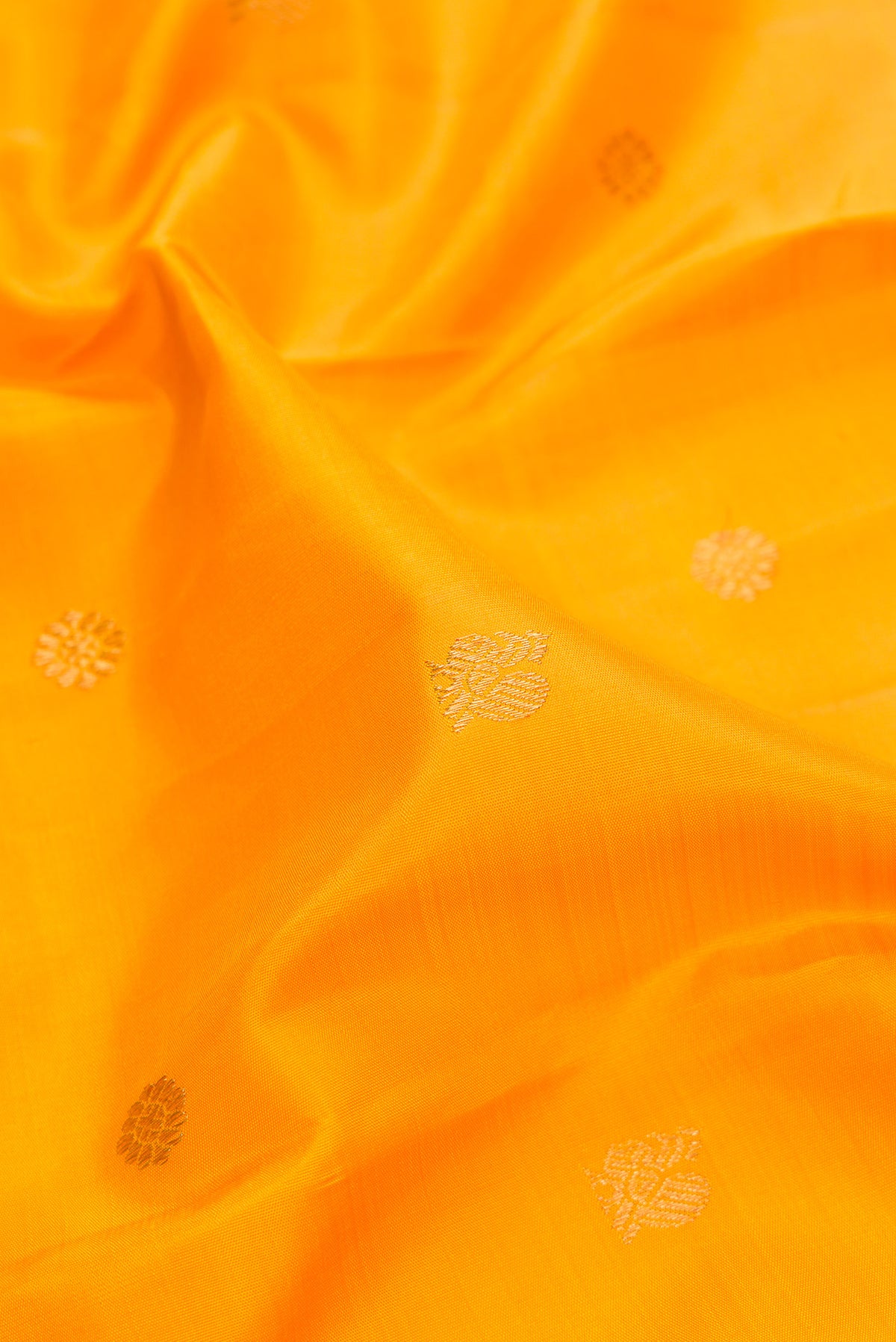Close up of Pure Silk Pure Zari Mustard Kanjivaram Saree with Zari Butta on the body and Zari Border.  displaying folds