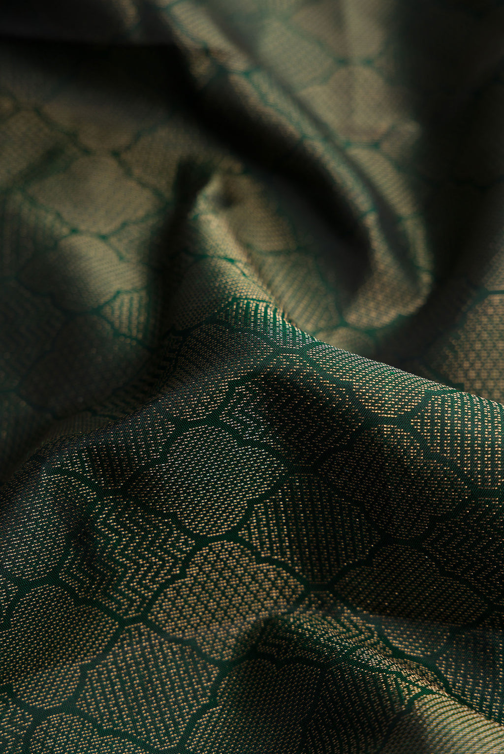 Close up of Bottle Green Dual Tone Soft Silk Saree with Zari Brocade on the body and Fancy Border.  displaying folds