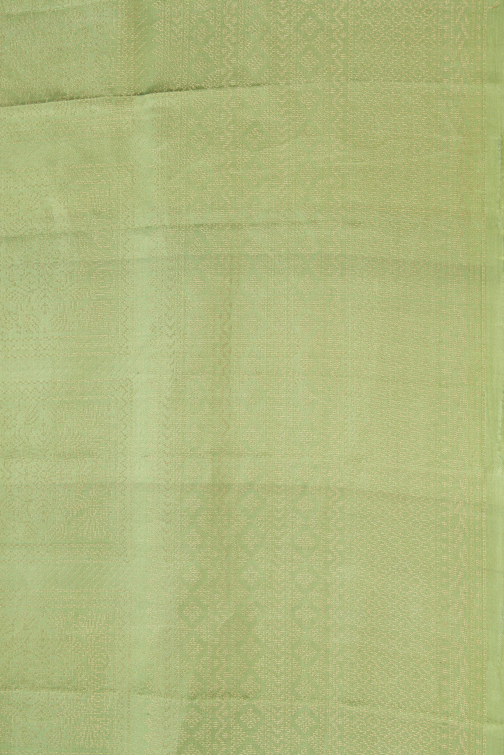 Border image of Green Dual Tone Soft Silk Saree with Zari Brocade on the body and Zari Border. 