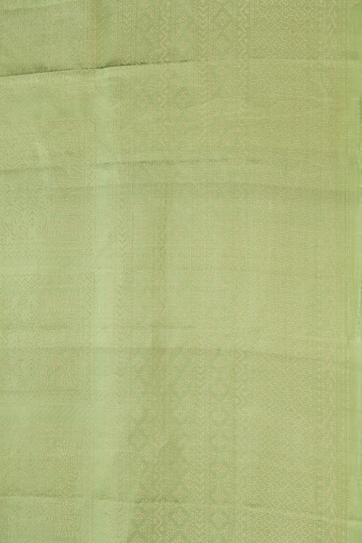 Border image of Green Dual Tone Soft Silk Saree with Zari Brocade on the body and Zari Border. 