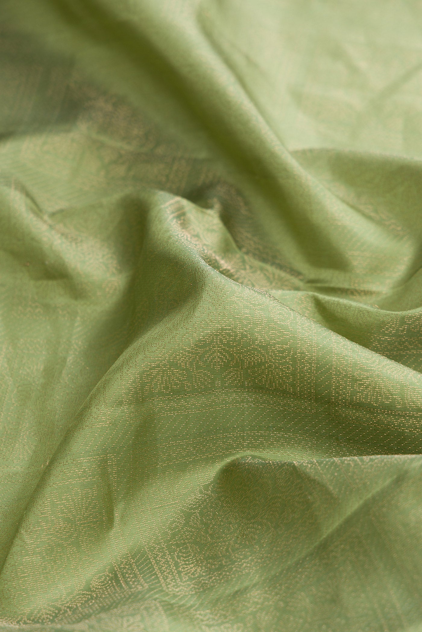 Close up of Green Dual Tone Soft Silk Saree with Zari Brocade on the body and Zari Border.  displaying folds