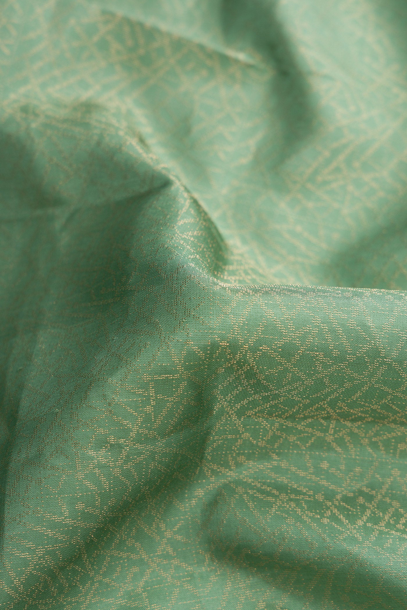 Close up of Pista Green Dual Tone Soft Silk Saree with Zari Brocade on the body and Fancy Border.  displaying folds