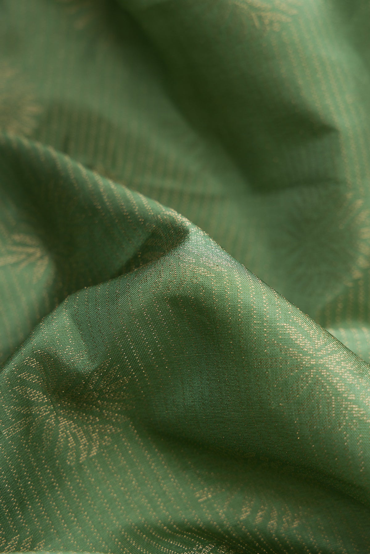 Close up of Pista Green Dual Tone Soft Silk Saree with Zari Brocade on the body and Fancy Border.  displaying folds