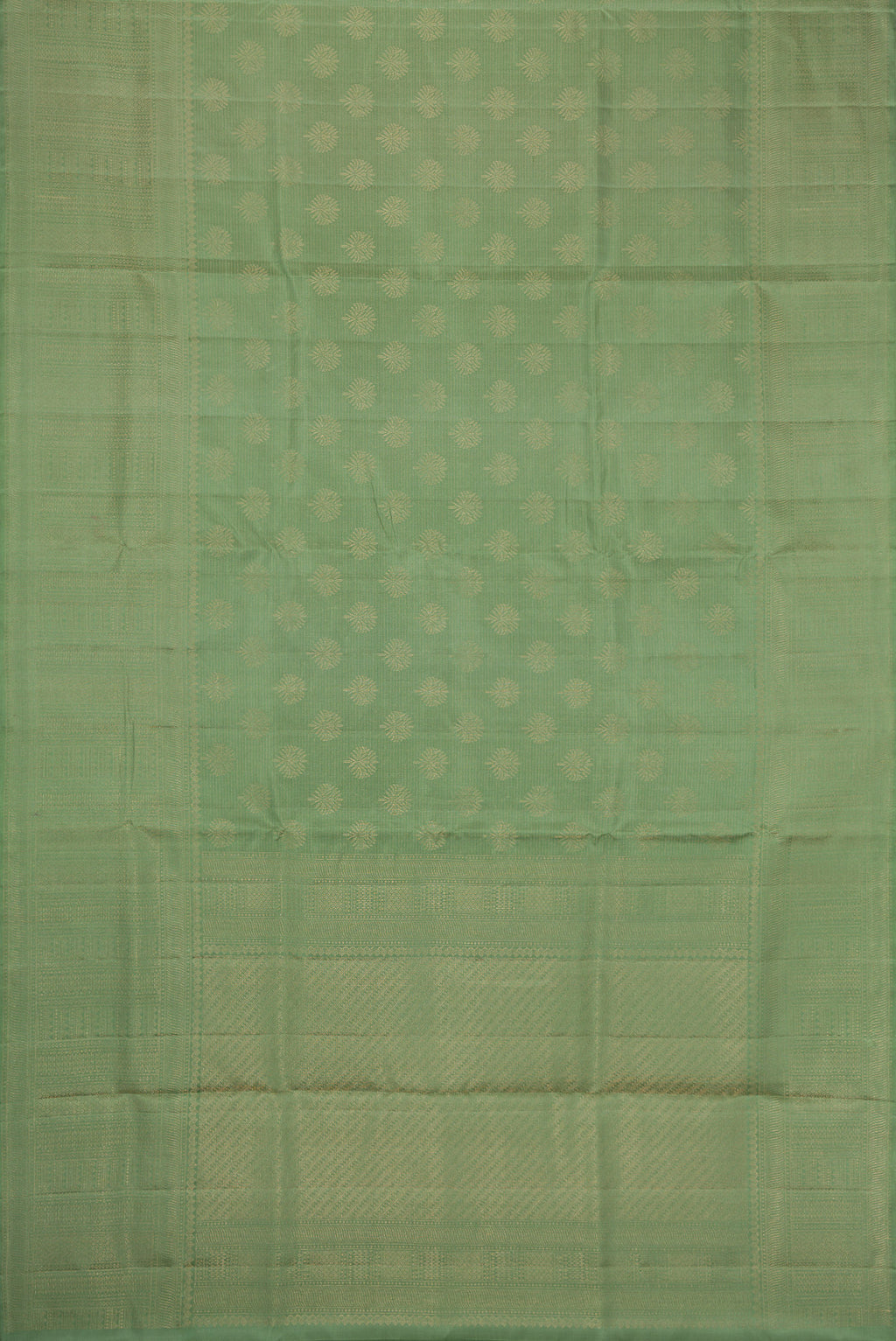 Flat view of Pista Green Dual Tone Soft Silk Saree with Zari Brocade on the body and Fancy Border. 