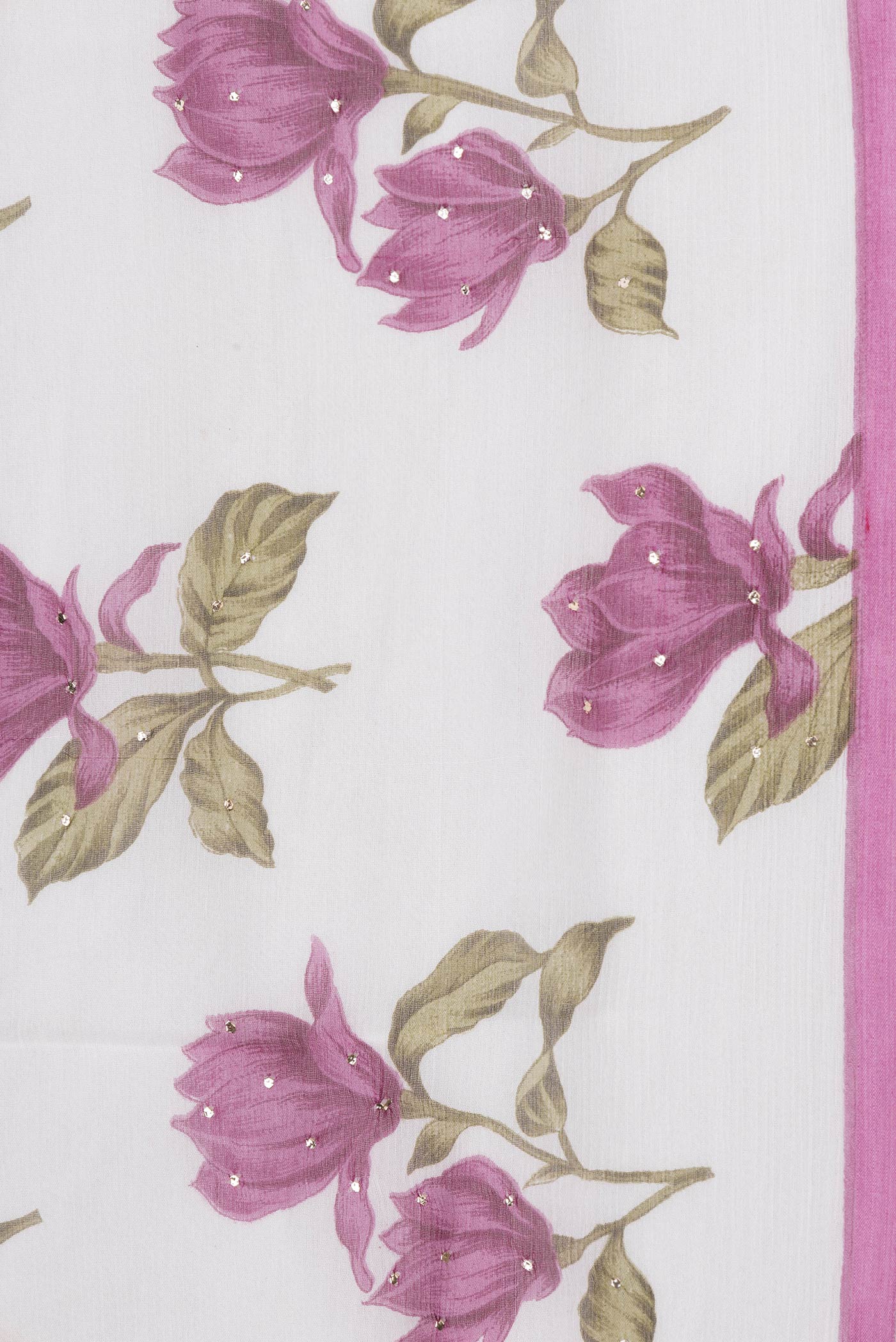 Border image of Off White Dual Tone Mysore Chiffon Saree with Printed design on the body and Plain Border. 