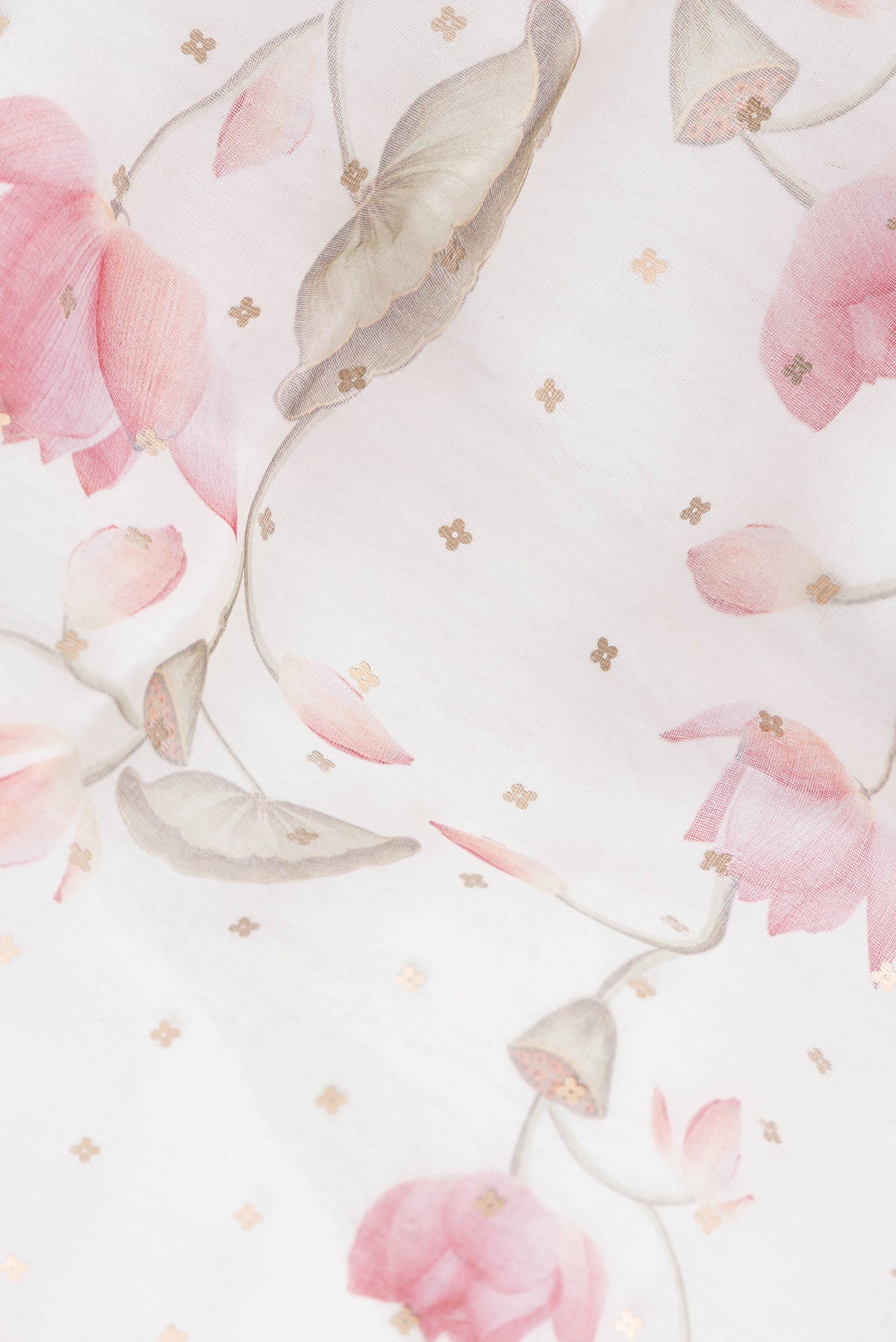 Close up of Beige Dual Tone Organza Silk Saree with Printed design on the body and Zari Border.  displaying folds