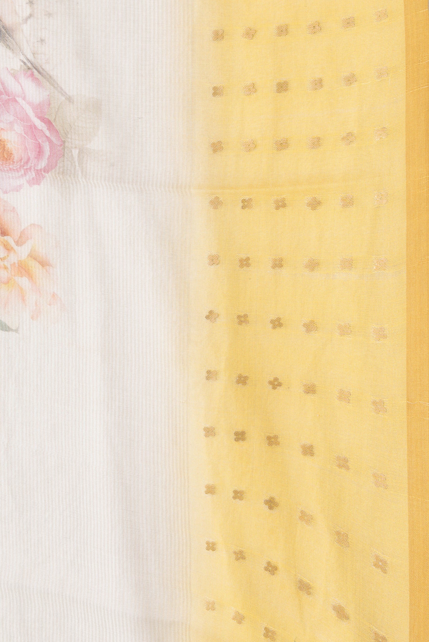 Border image of Beige Dual Tone Tussar Silk Saree with Printed design on the body and Printed Border. 