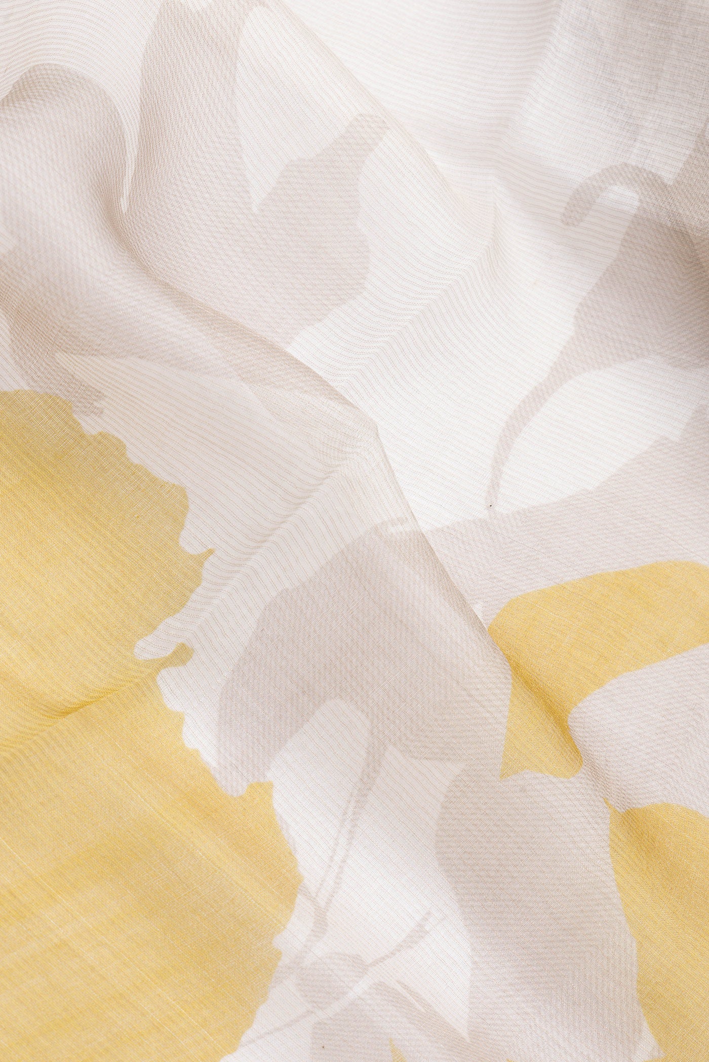 Close up of Beige Dual Tone Tussar Silk Saree with Printed design on the body and Zari Border.  displaying folds