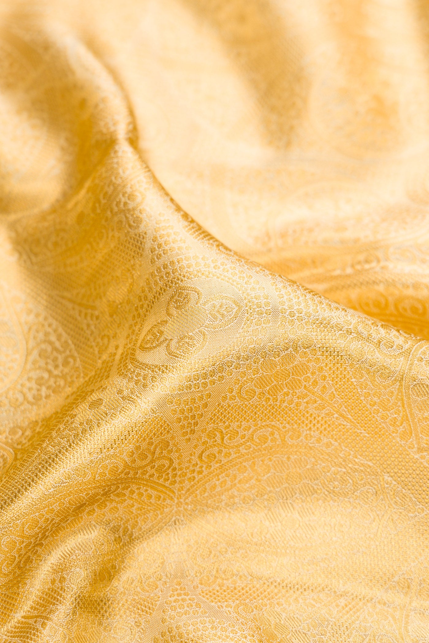 Close up of Gold Dual Tone Kanchipuram Tissue Silk Saree with Zari Brocade on the body and Zari Border.  displaying folds