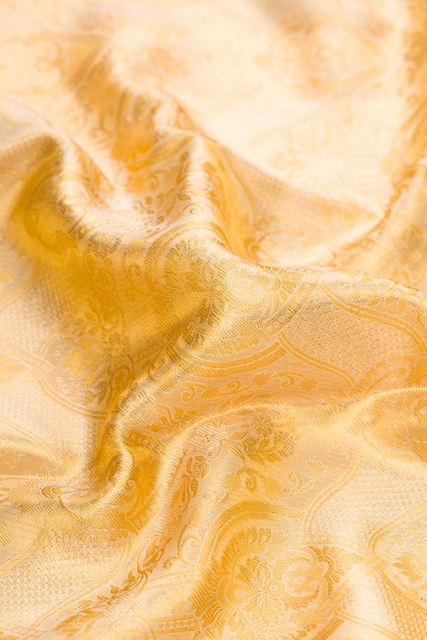 Close up of Gold Dual Tone Kanchipuram Tissue Silk Saree with Zari Brocade on the body and Zari Border.  displaying folds