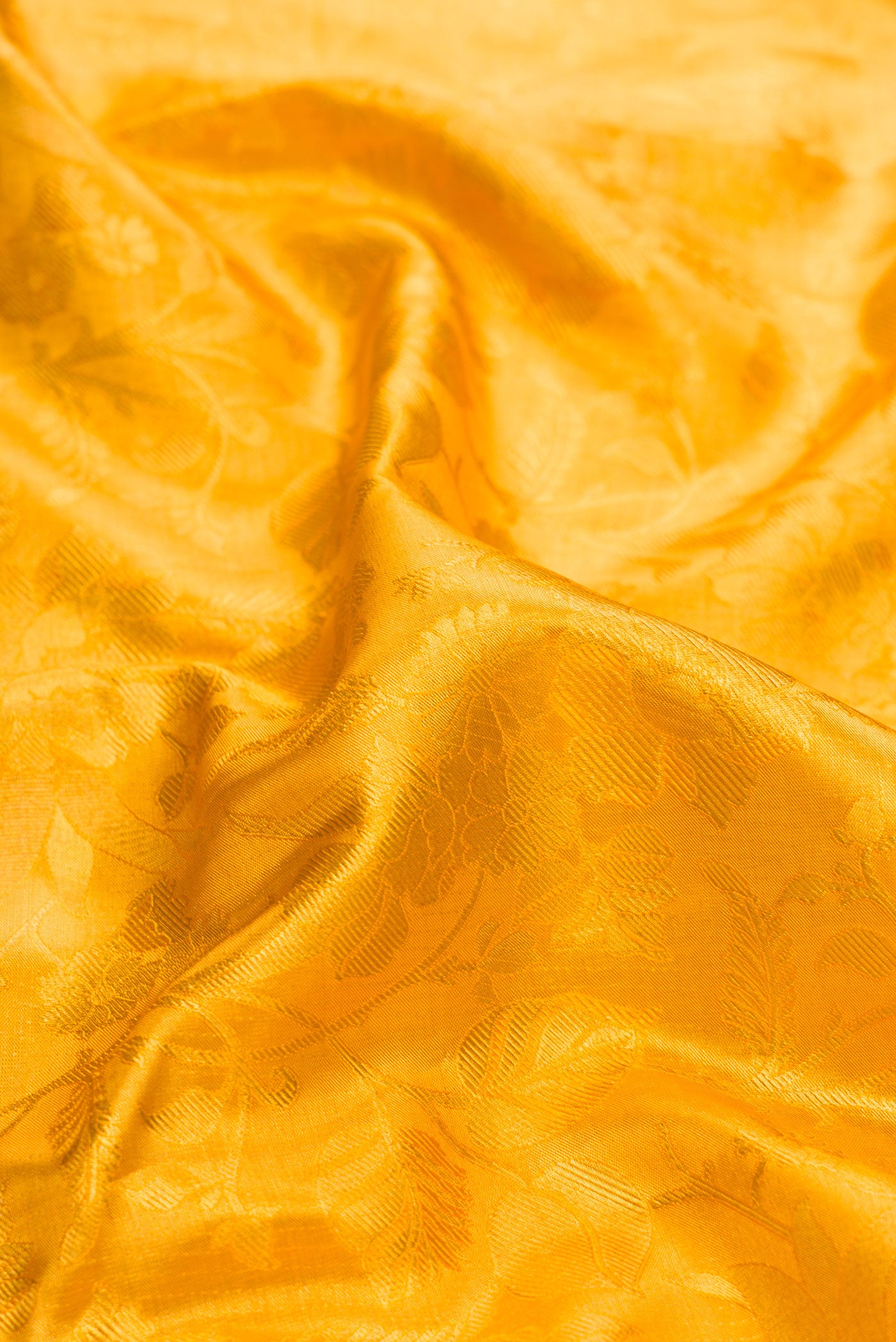 Close up of Gold Dual Tone Kanchipuram Tissue Silk Saree with Zari Brocade on the body and Zari Border.  displaying folds