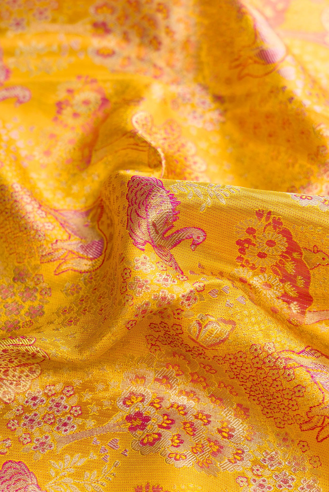 Close up of Gold Dual Tone Kanjivaram Tissue Silk Saree with Zari Brocade on the body and Zari Border.  displaying folds