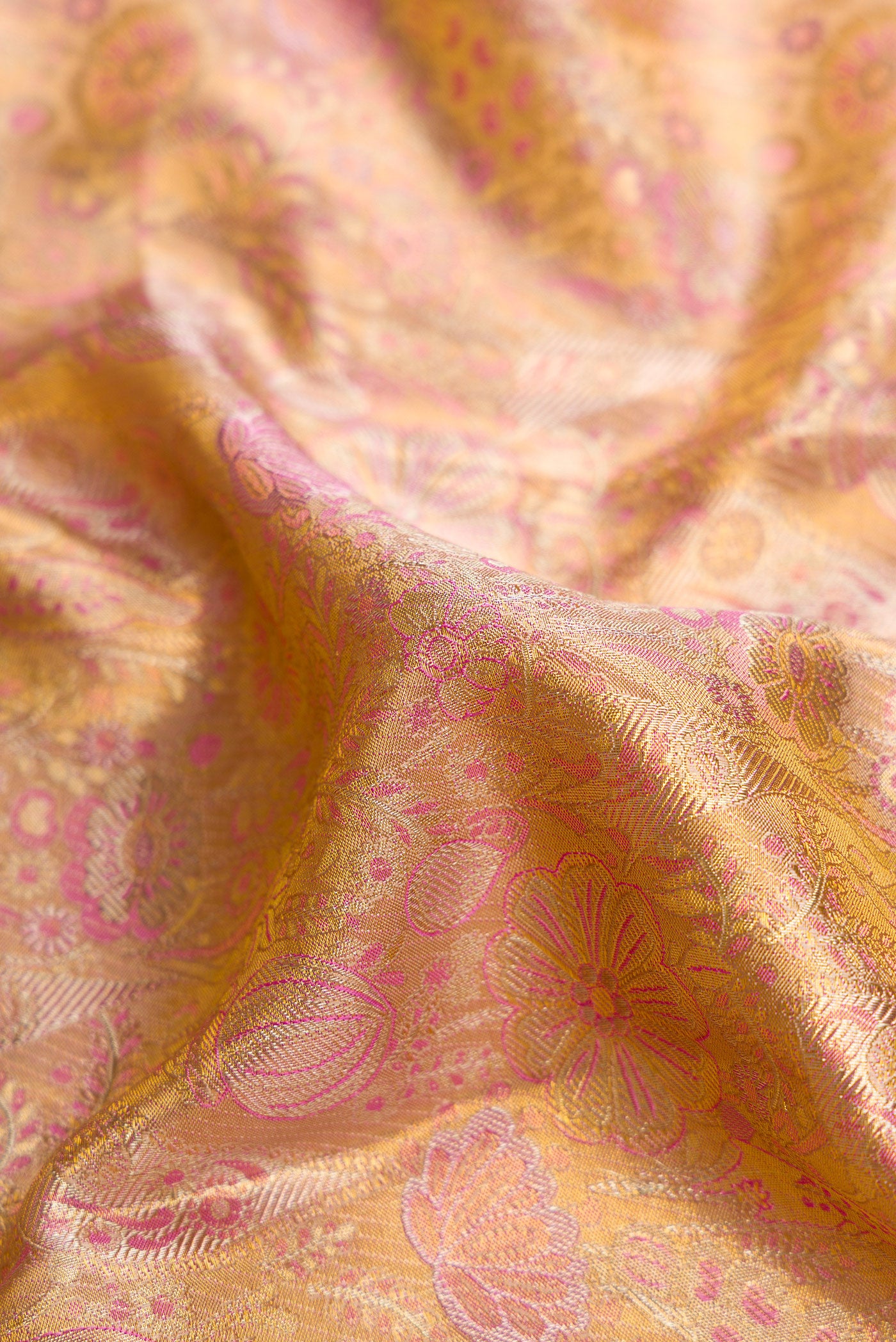 Close up of Gold Dual Tone Kanjivaram Tissue Silk Saree with Zari Brocade on the body and Zari Border.  displaying folds