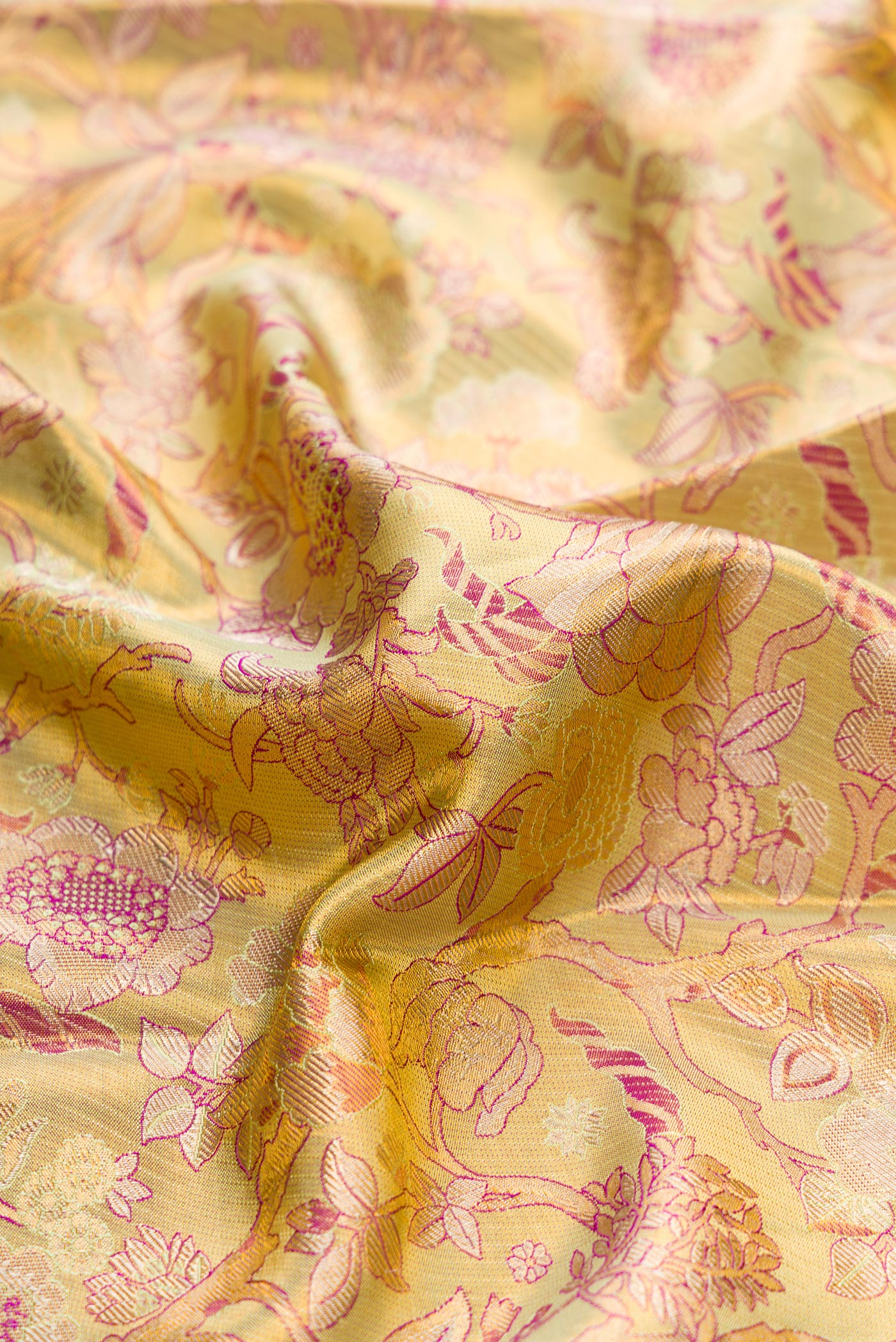 Close up of Pista Green Dual Tone Kanjivaram Tissue Silk Saree with Zari Brocade on the body and Zari Border.  displaying folds