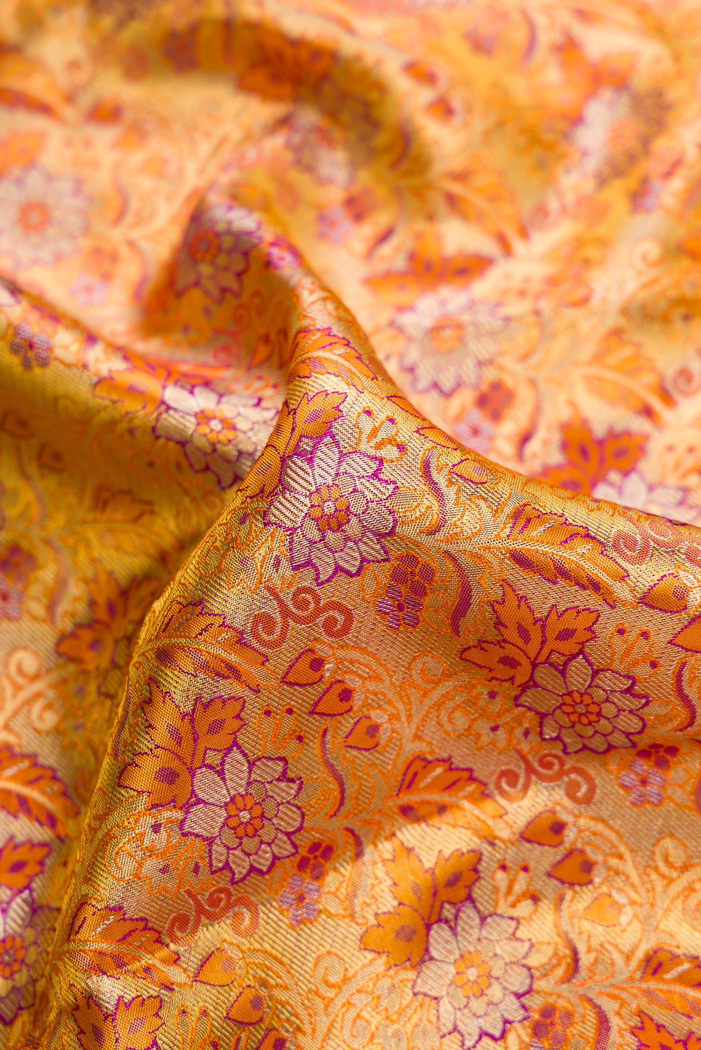 Close up of Gold Dual Tone Kanjivaram Tissue Silk Saree with Zari Brocade on the body and Zari Border.  displaying folds