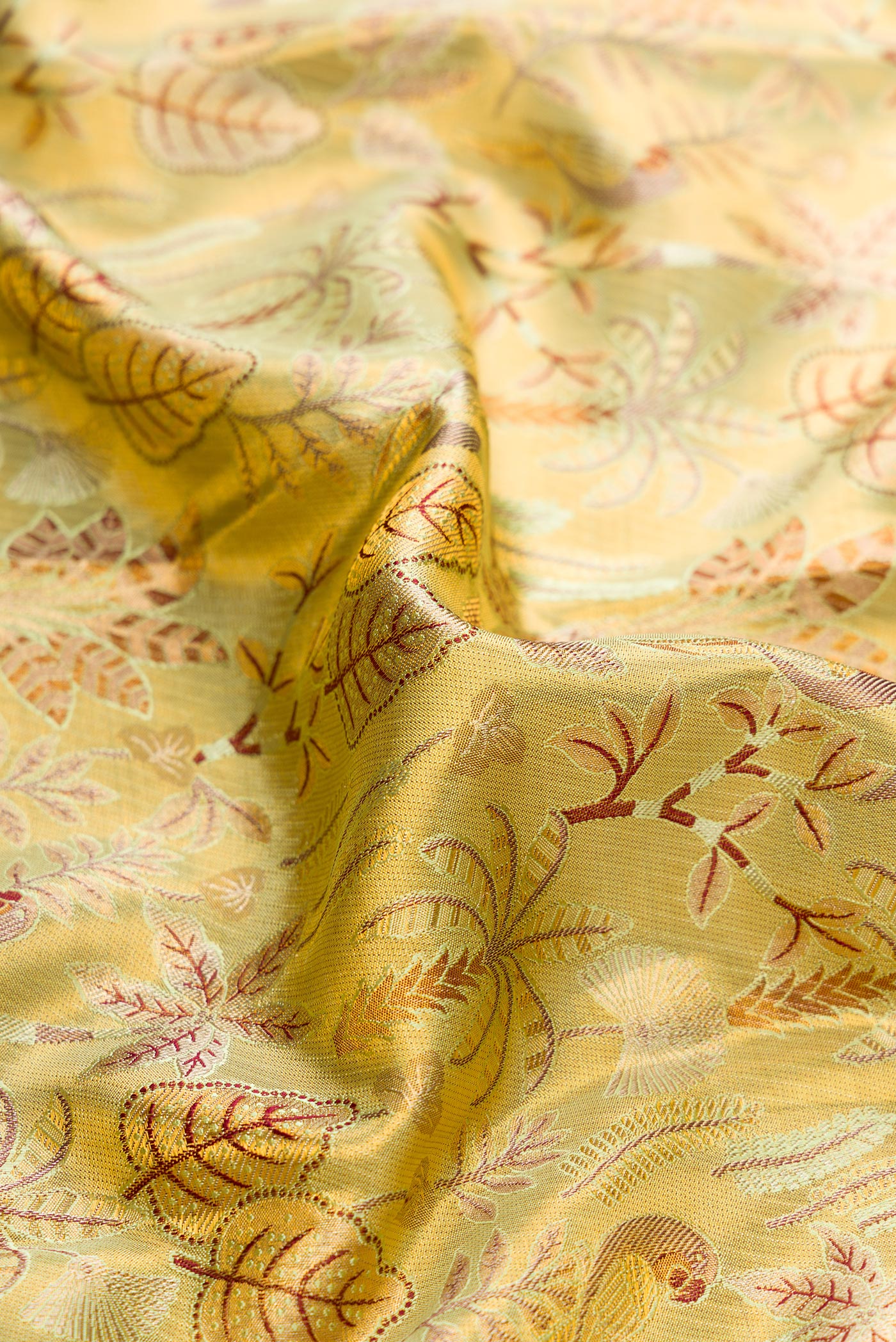 Close up of Gold Dual Tone Kanjivaram Tissue Silk Saree with Zari Brocade on the body and Zari Border.  displaying folds