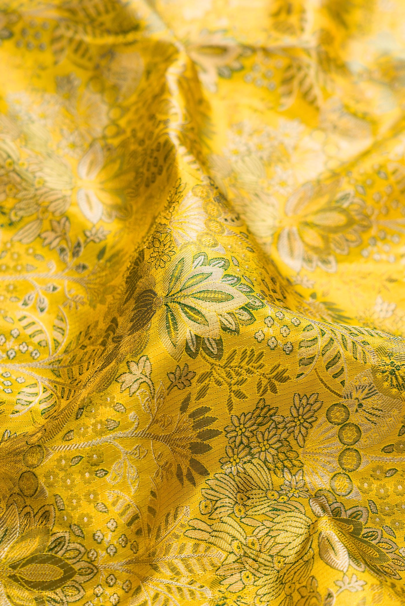 Close up of Green Dual Tone Kanjivaram Tissue Silk Saree with Zari Brocade on the body and Zari Border.  displaying folds