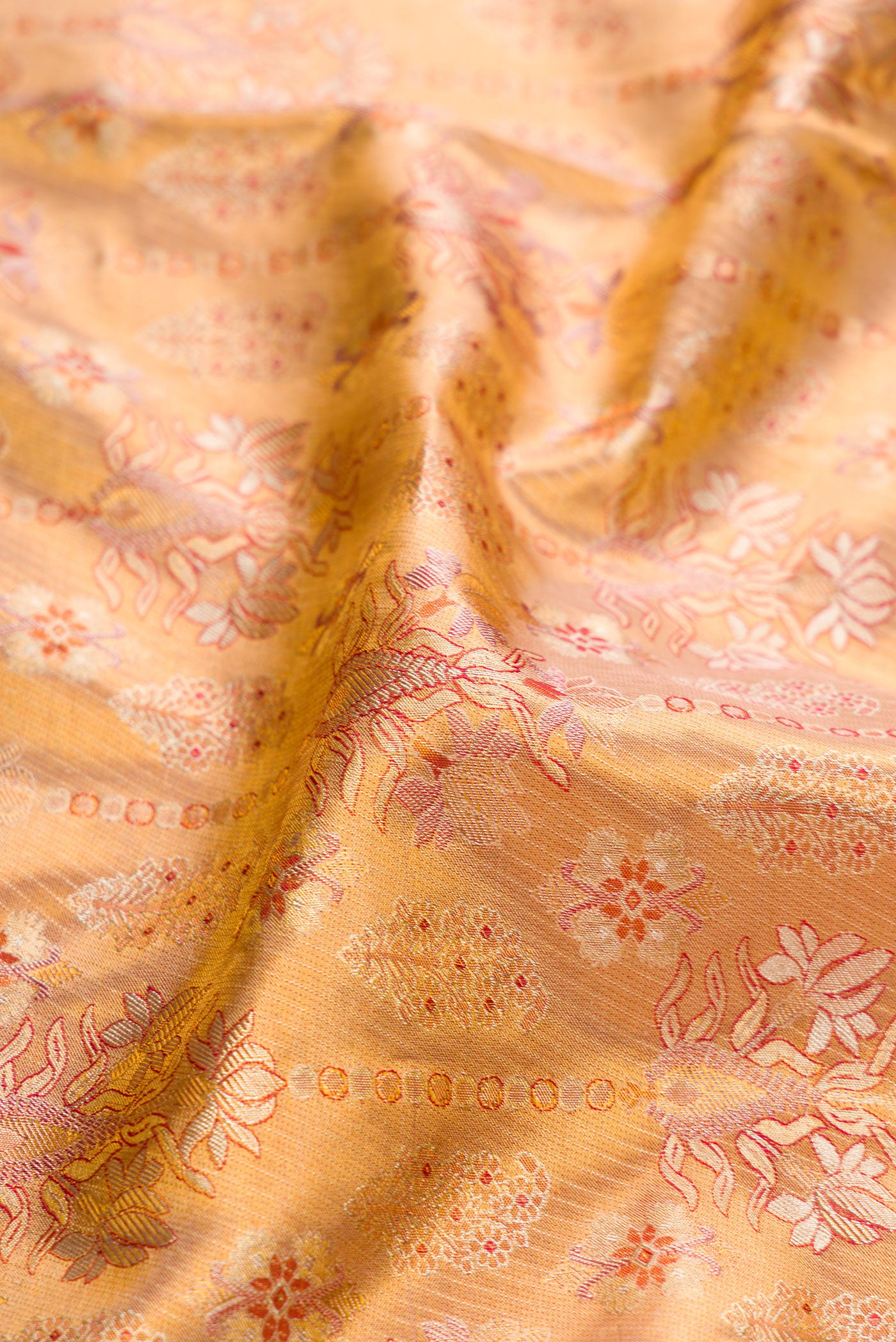 Close up of Gold Dual Tone Kanjivaram Tissue Silk Saree with Zari Brocade on the body and Zari Border.  displaying folds