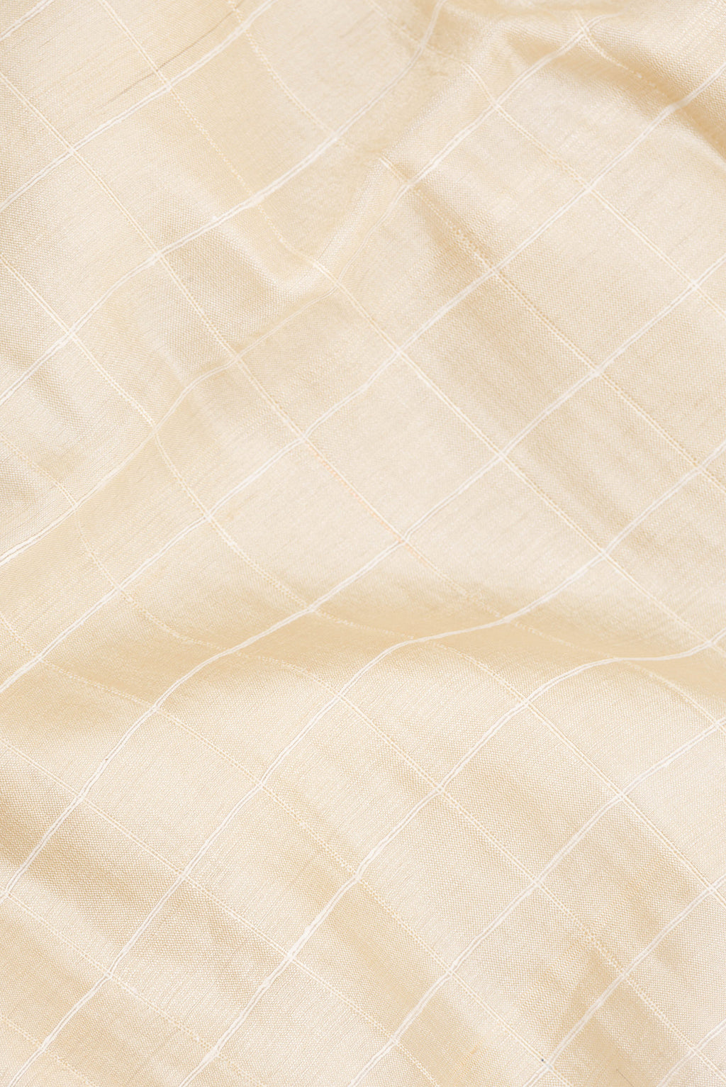 Close up of Beige Tussar Saree with Checked design on the body and Embroidered Border.  displaying folds