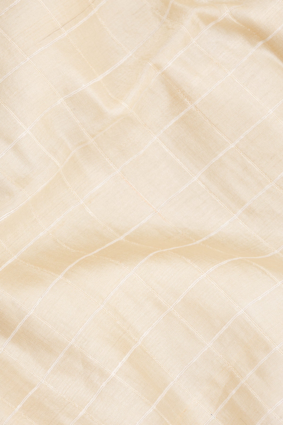 Close up of Beige Tussar Saree with Checked design on the body and Embroidered Border.  displaying folds