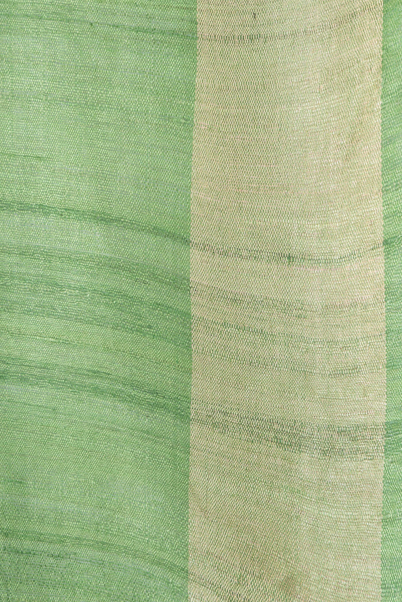 Border image of Parrot Green Dual Tone Tussar Silk Saree with Zari Butta on the body and Zari Border. 