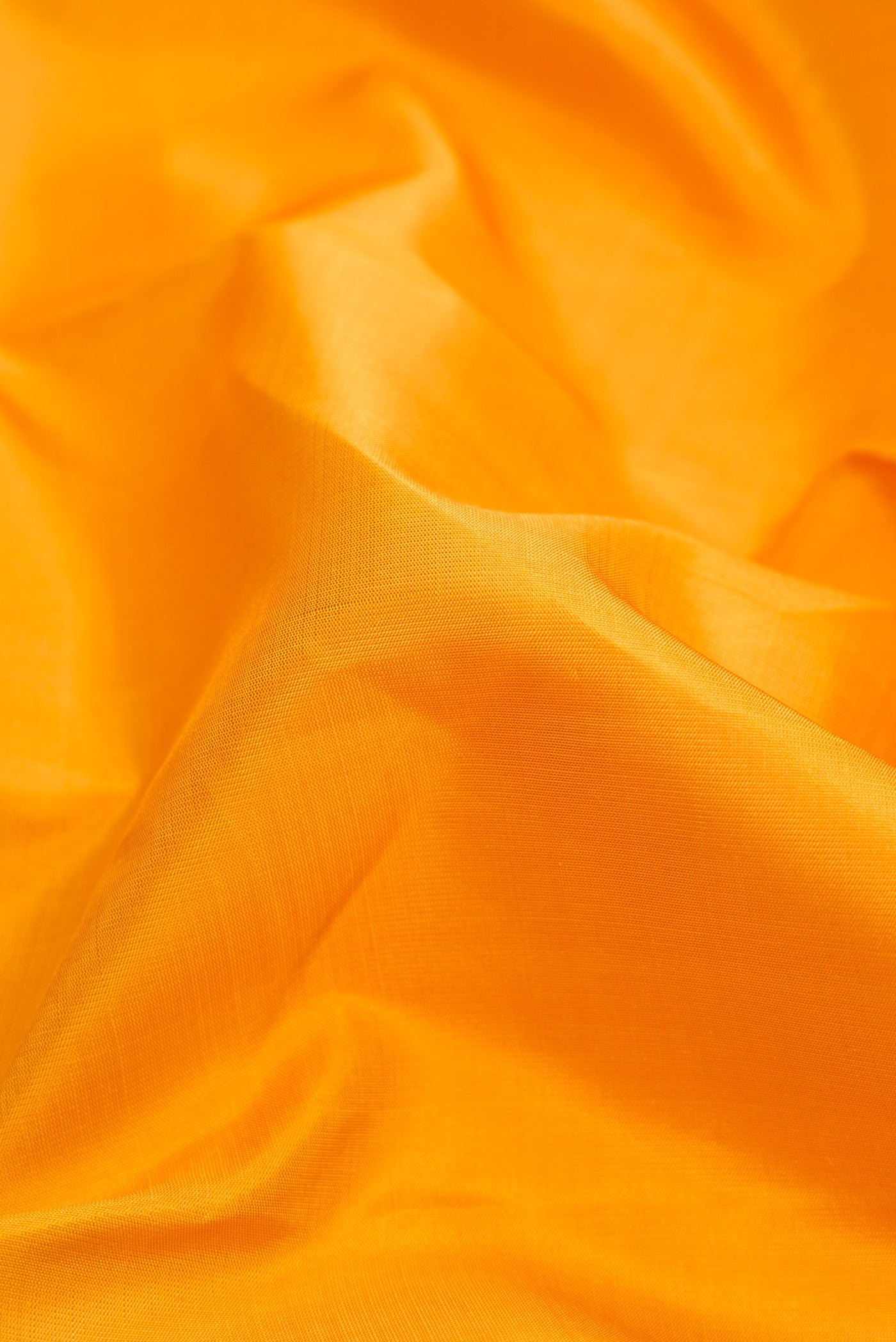 Close up of Pure Silk Pure Zari Mustard Dual Tone Kanjivaram Saree with Plain Body and Fancy Border.  displaying folds
