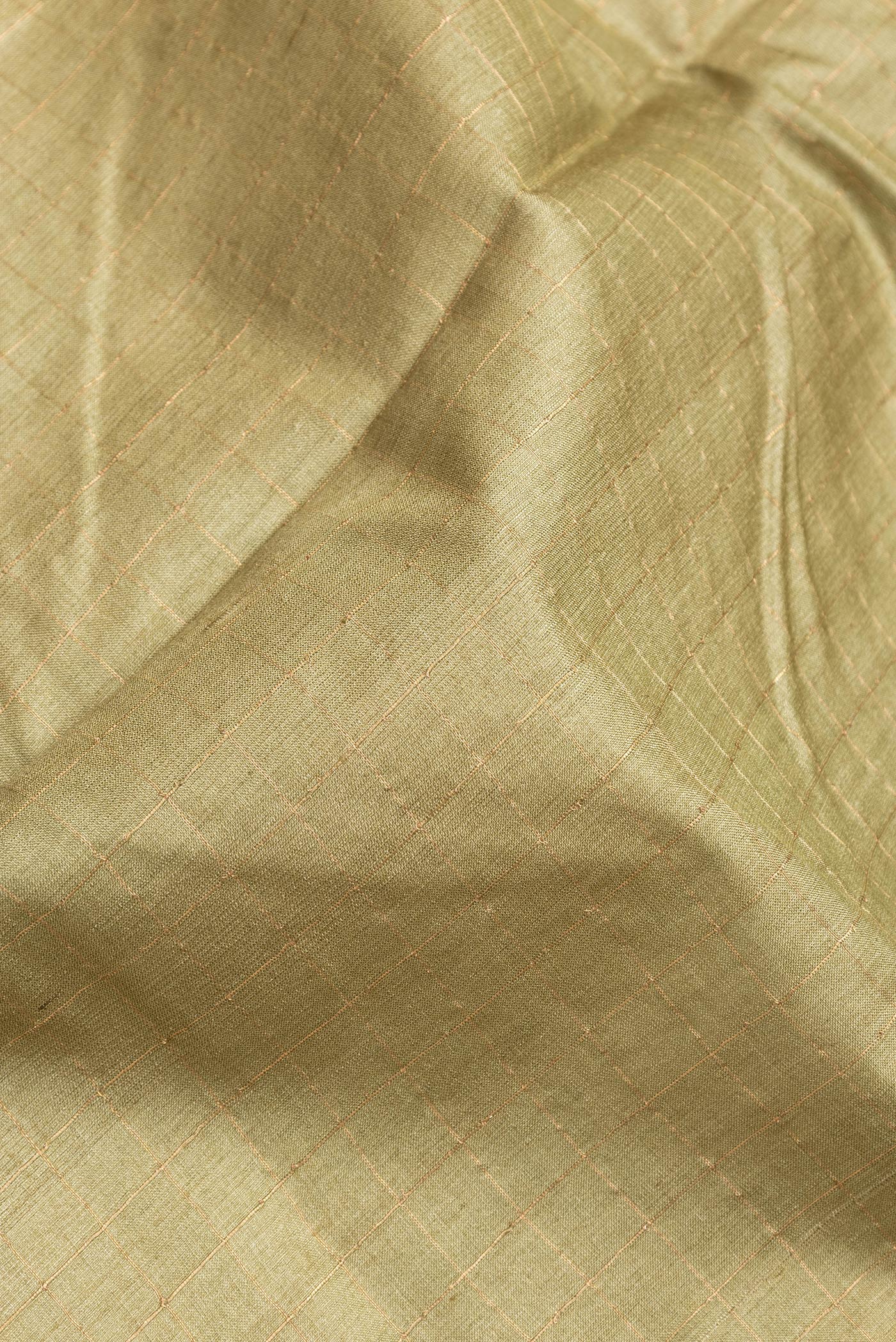 Close up of Mehandi Green Dual Tone Tussar Silk Saree with Checked design on the body and Printed Border.  displaying folds