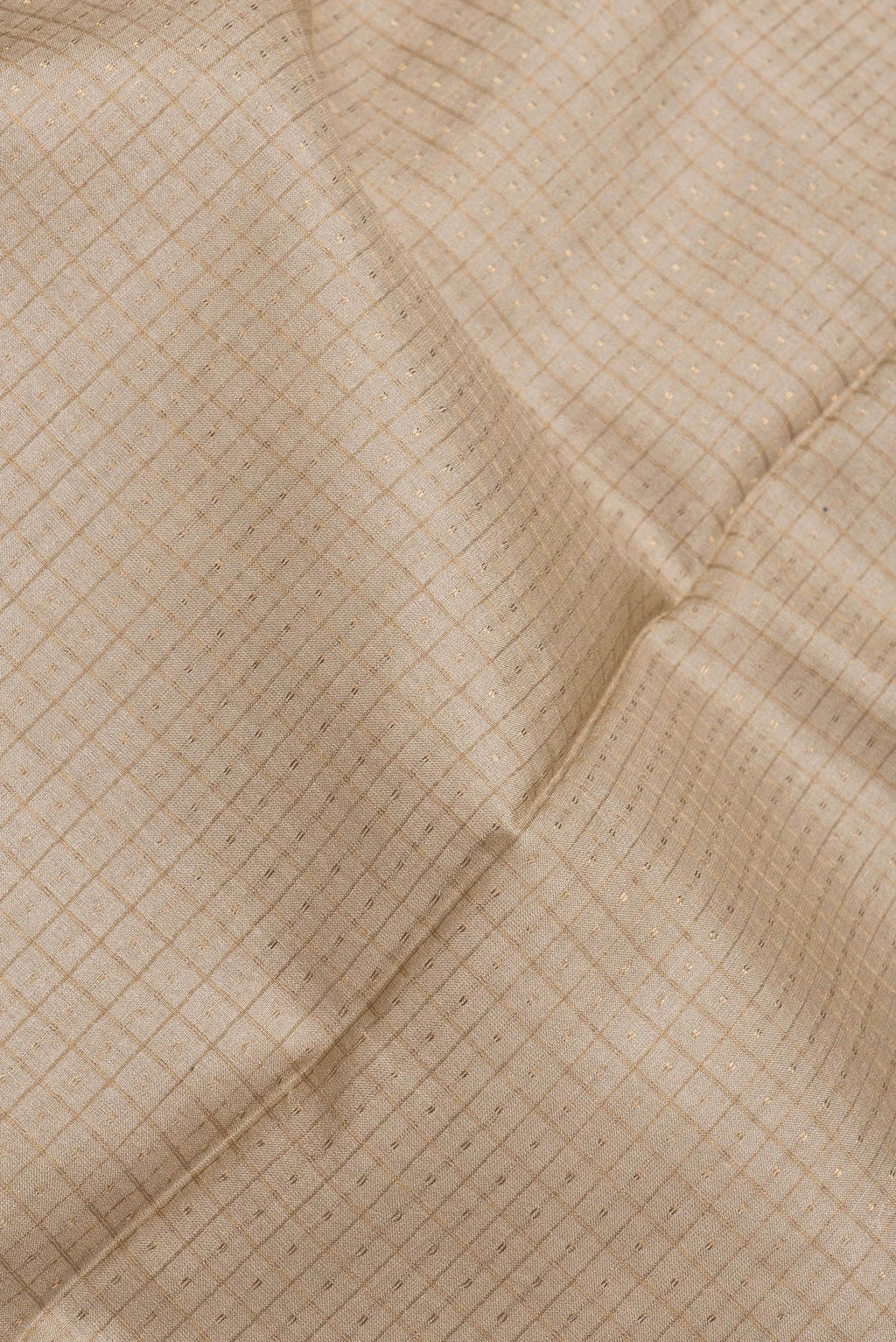 Close up of Beige Dual Tone Tussar Silk Saree with Zari Butta on the body and Printed Border.  displaying folds