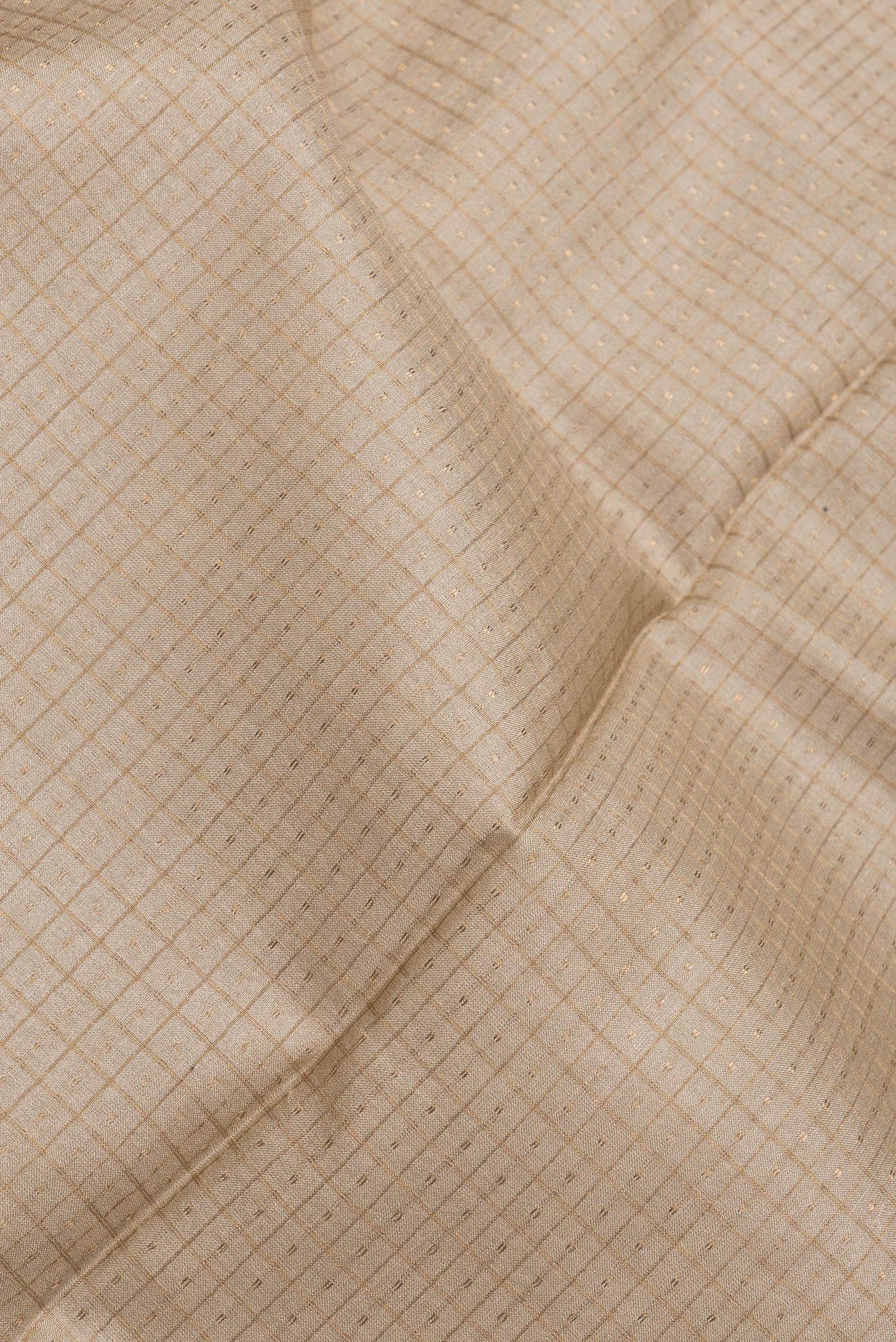 Close up of Beige Dual Tone Tussar Silk Saree with Zari Butta on the body and Printed Border.  displaying folds