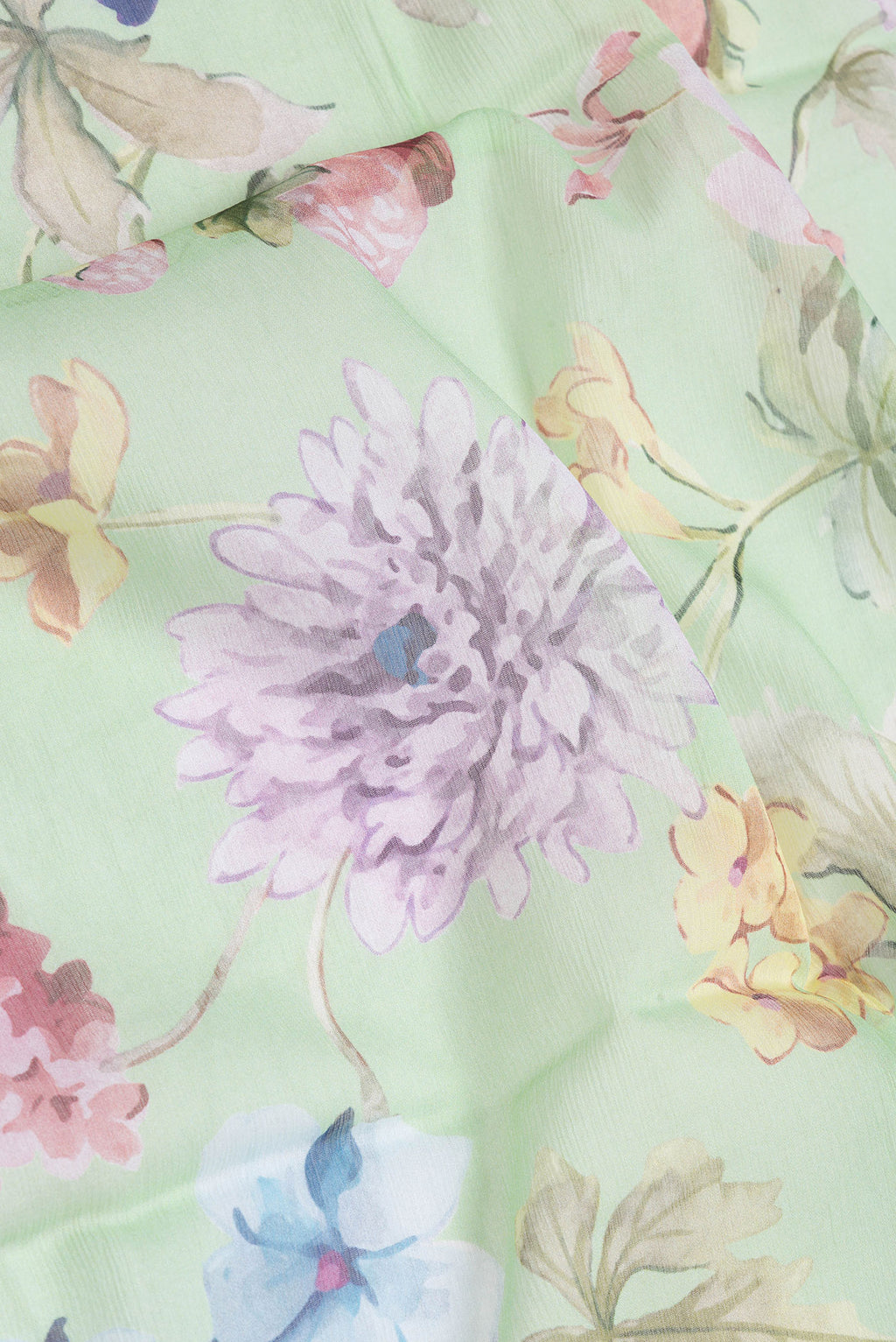 Close up of Pista Green Dual Tone Chiffon Saree with Printed design on the body and Without Border.  displaying folds