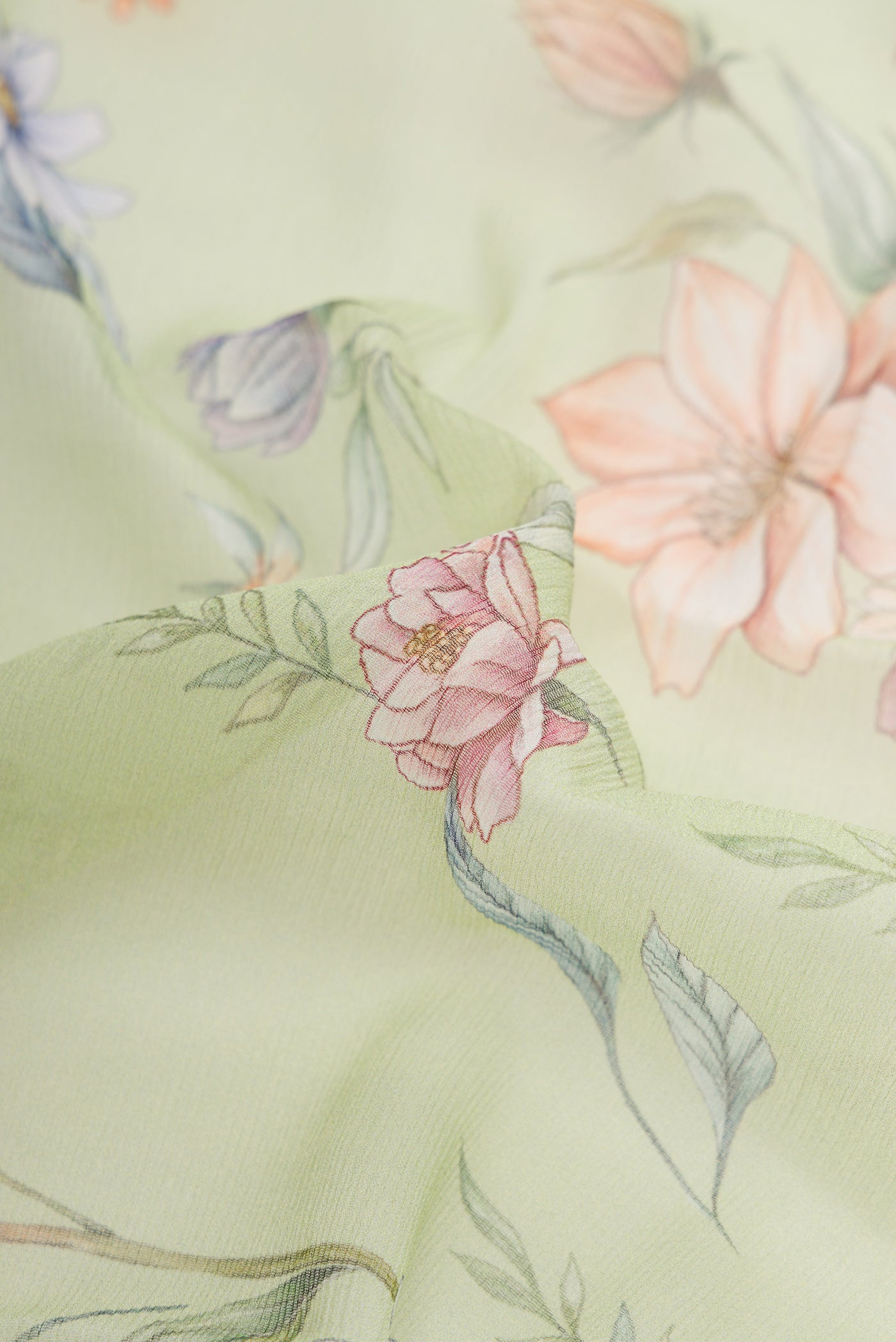 Close up of Light Green Dual Tone Mysore Chiffon Saree with Printed design on the body and Without Border.  displaying folds