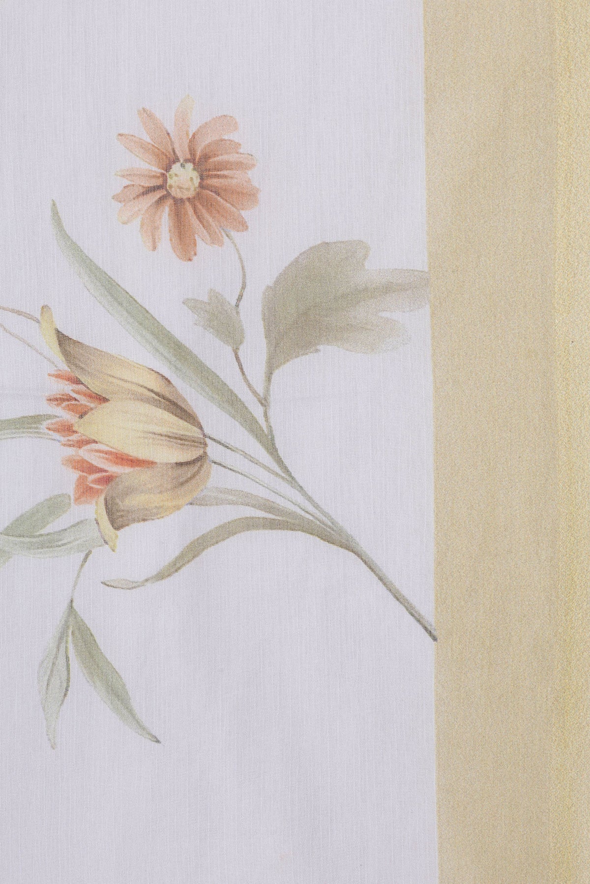 Border image of Off White Dual Tone Mysore Chiffon Saree with Printed design on the body and Plain Border. 