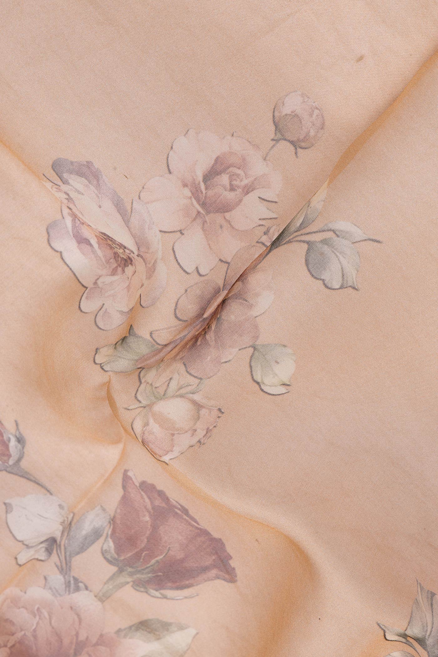 Close up of Golden Peach Dual Tone Organza Silk Saree with Printed design on the body and Without Border.  displaying folds