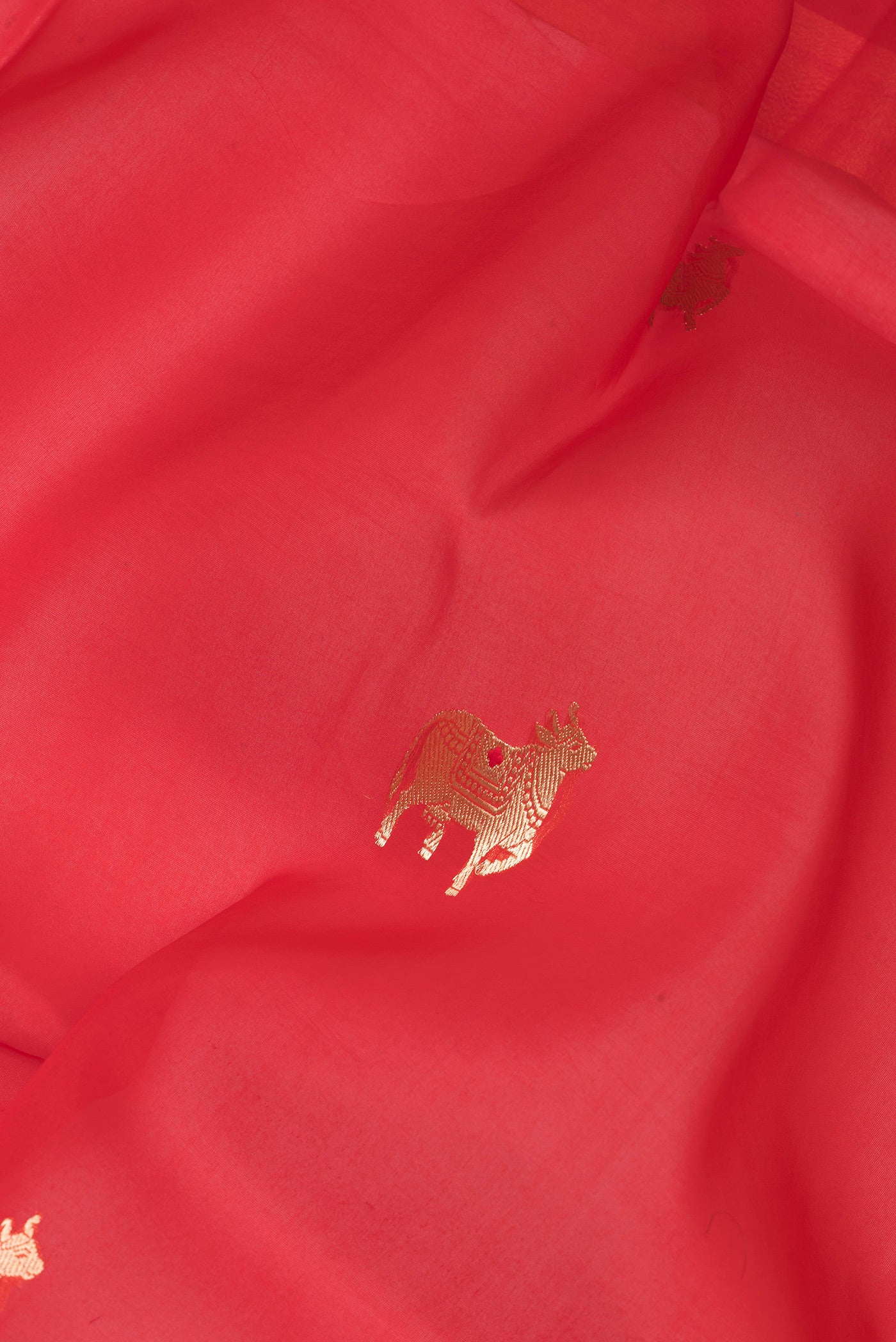 Close up of Red Organza Silk Saree with Zari Butta on the body and Zari Border.  displaying folds