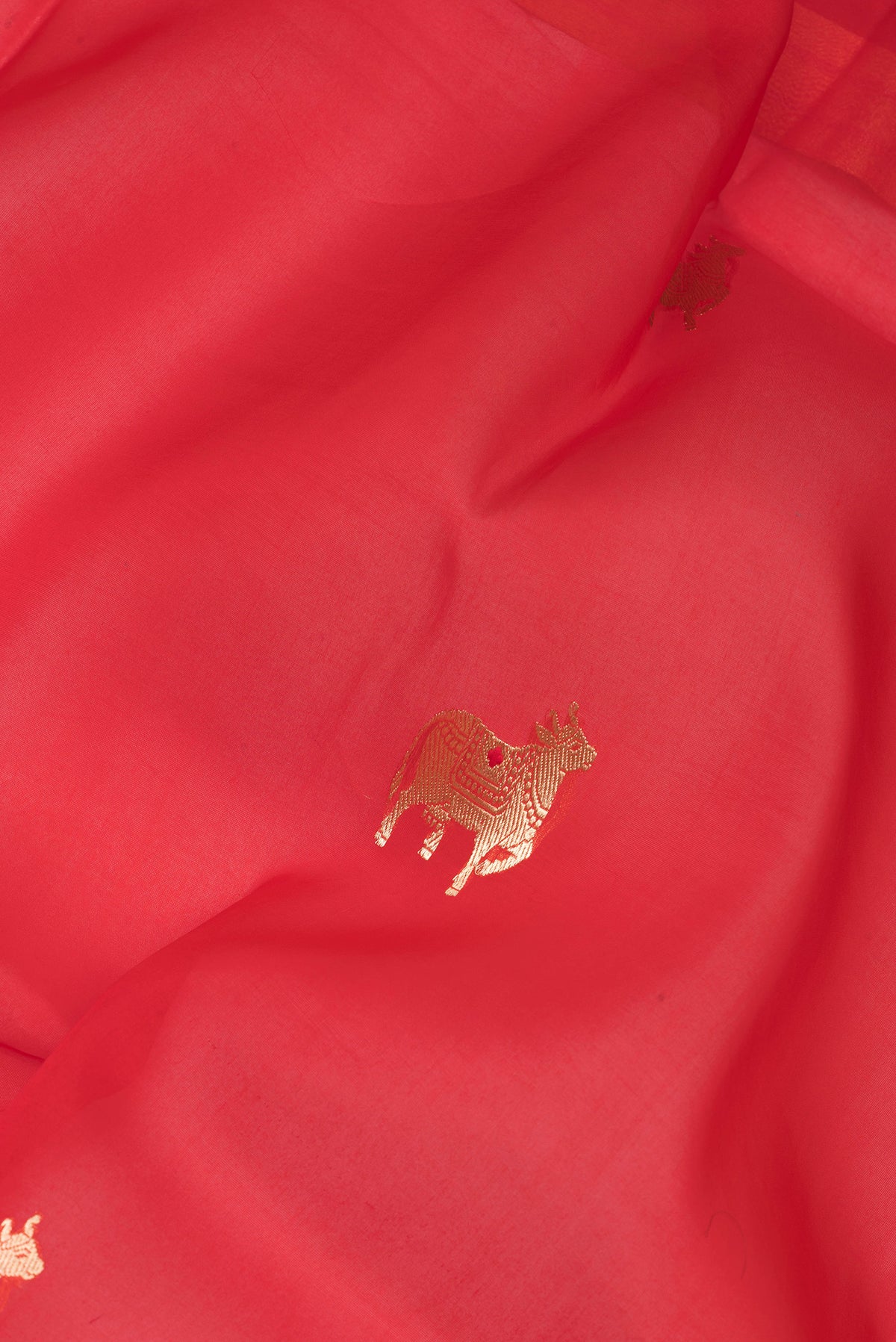 Close up of Red Organza Silk Saree with Zari Butta on the body and Zari Border.  displaying folds