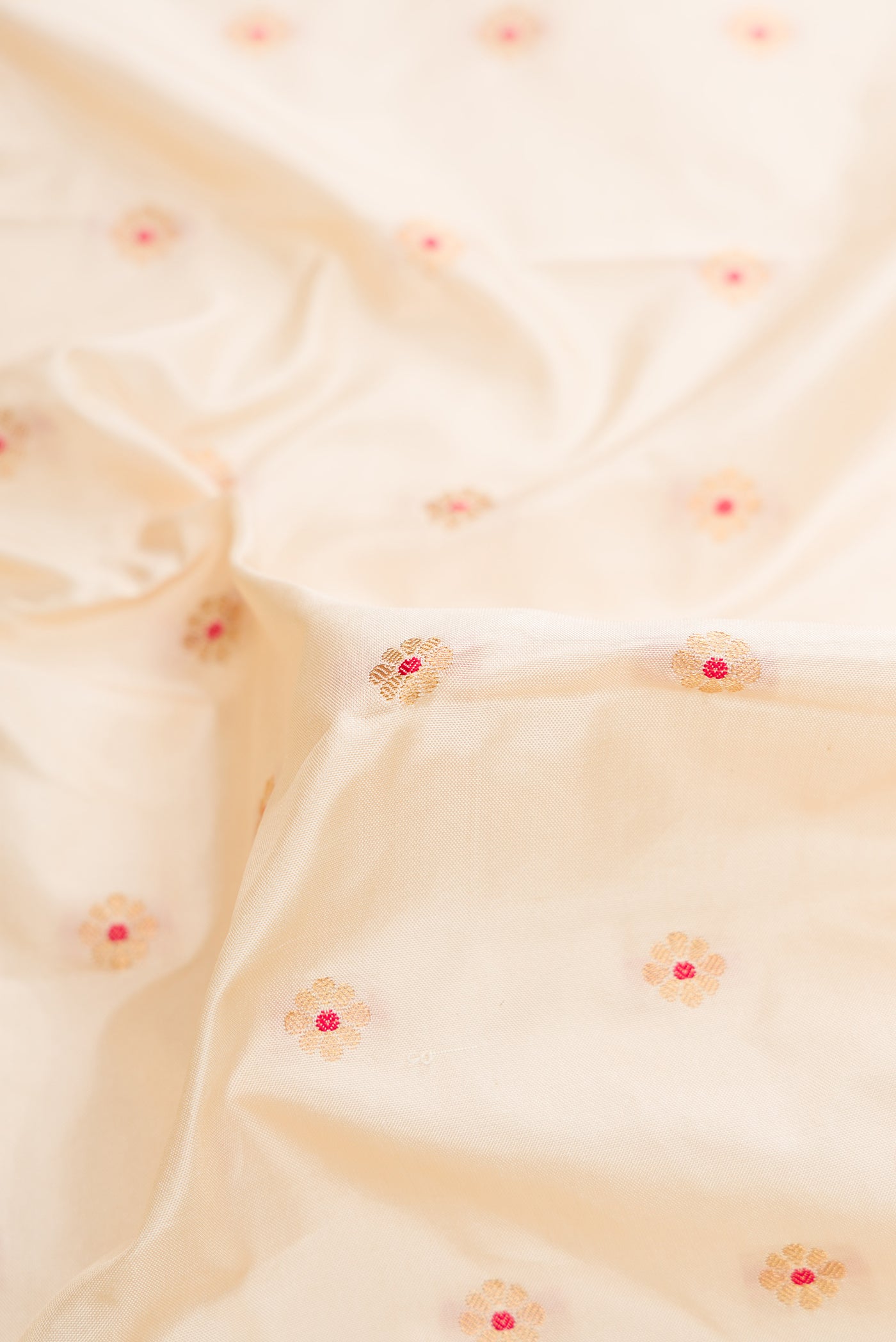 Close up of Beige Dual Tone Paithani Silk Saree with Zari Butta on the body and Paithani Border.  displaying folds